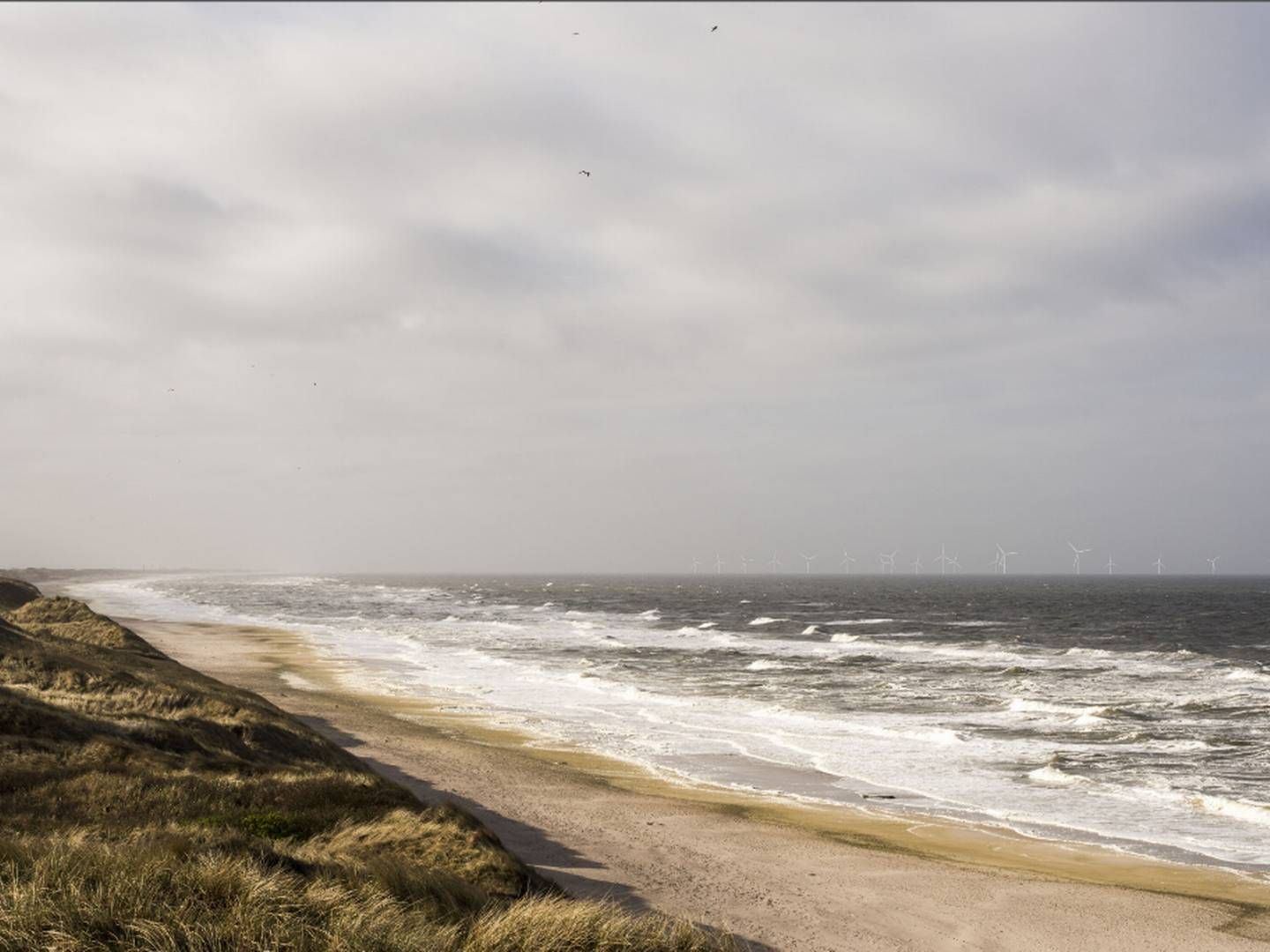 De to Vattenfall-parker er kommet et skridt nærmere at kunne påbegynde drift senere i år. | Foto: Vattenfall