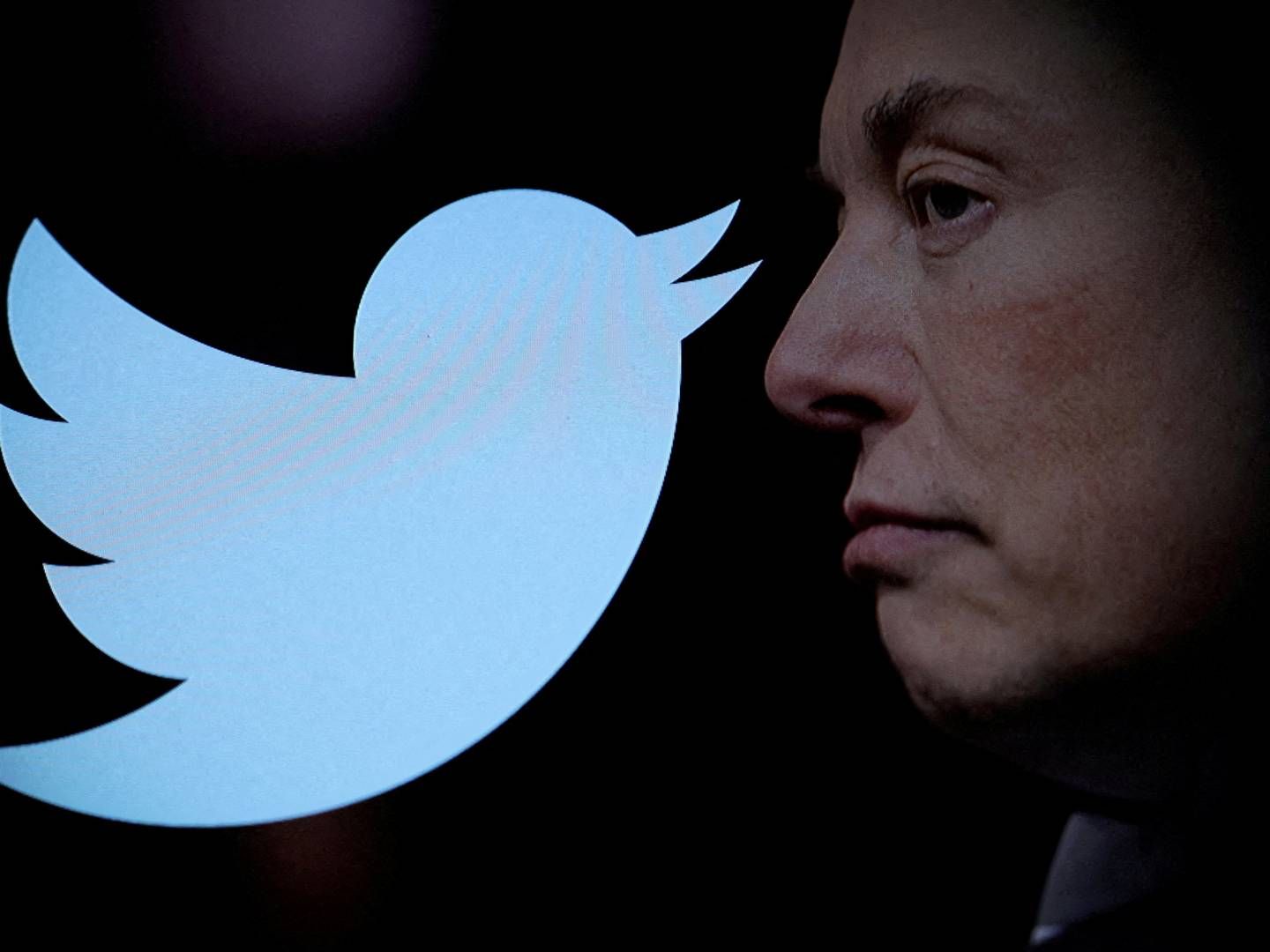 Twitter med Elon Musk i spidsen er utilfreds med advokatsalæret. | Foto: Dado Ruvic
