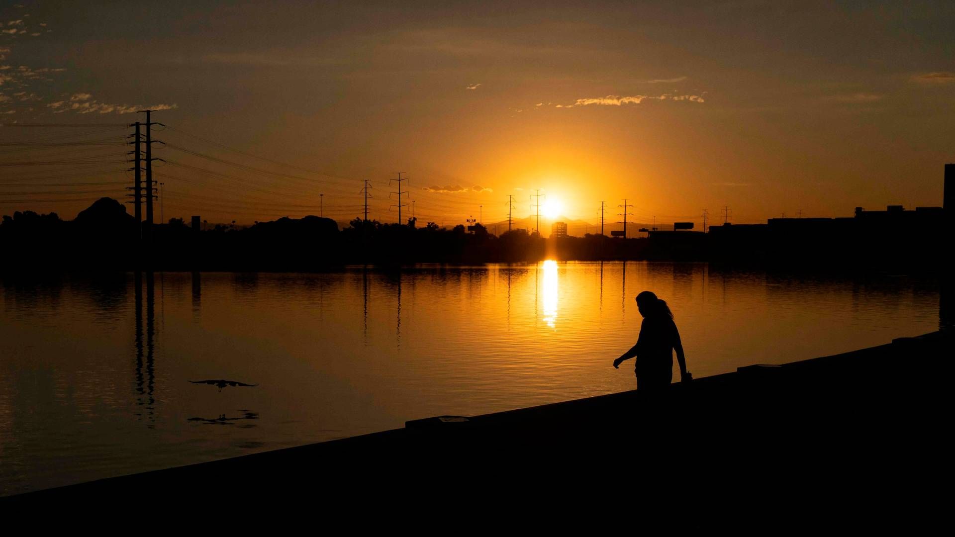 A woman watches a large bird fly over Tempe Town Lake during a recording-breaking heat wave on July 12, 2023 in Tempe, Arizona | Photo: Rebecca Noble/AFP/Ritzau Scanpix