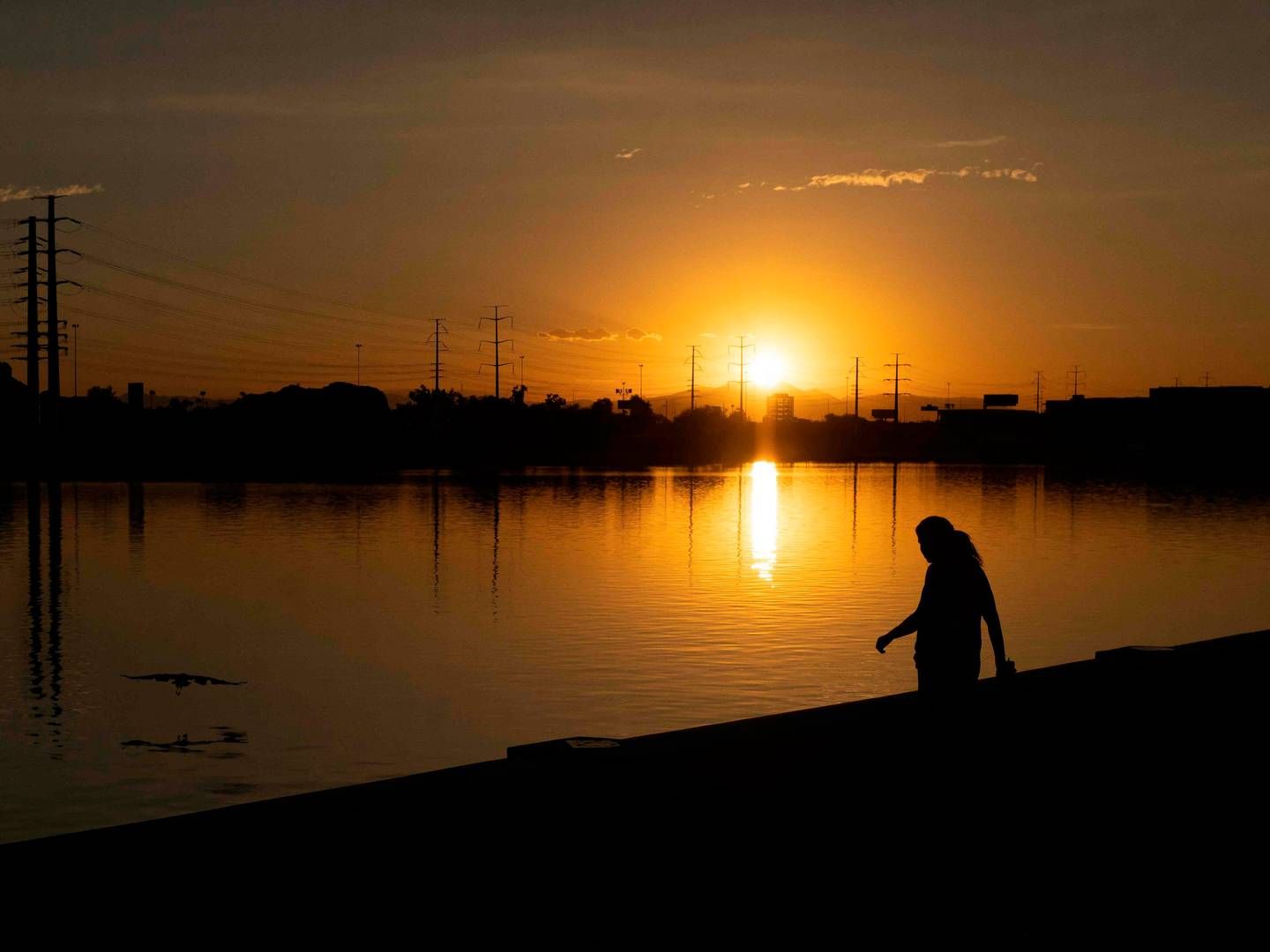 A woman watches a large bird fly over Tempe Town Lake during a recording-breaking heat wave on July 12, 2023 in Tempe, Arizona | Photo: Rebecca Noble/AFP/Ritzau Scanpix