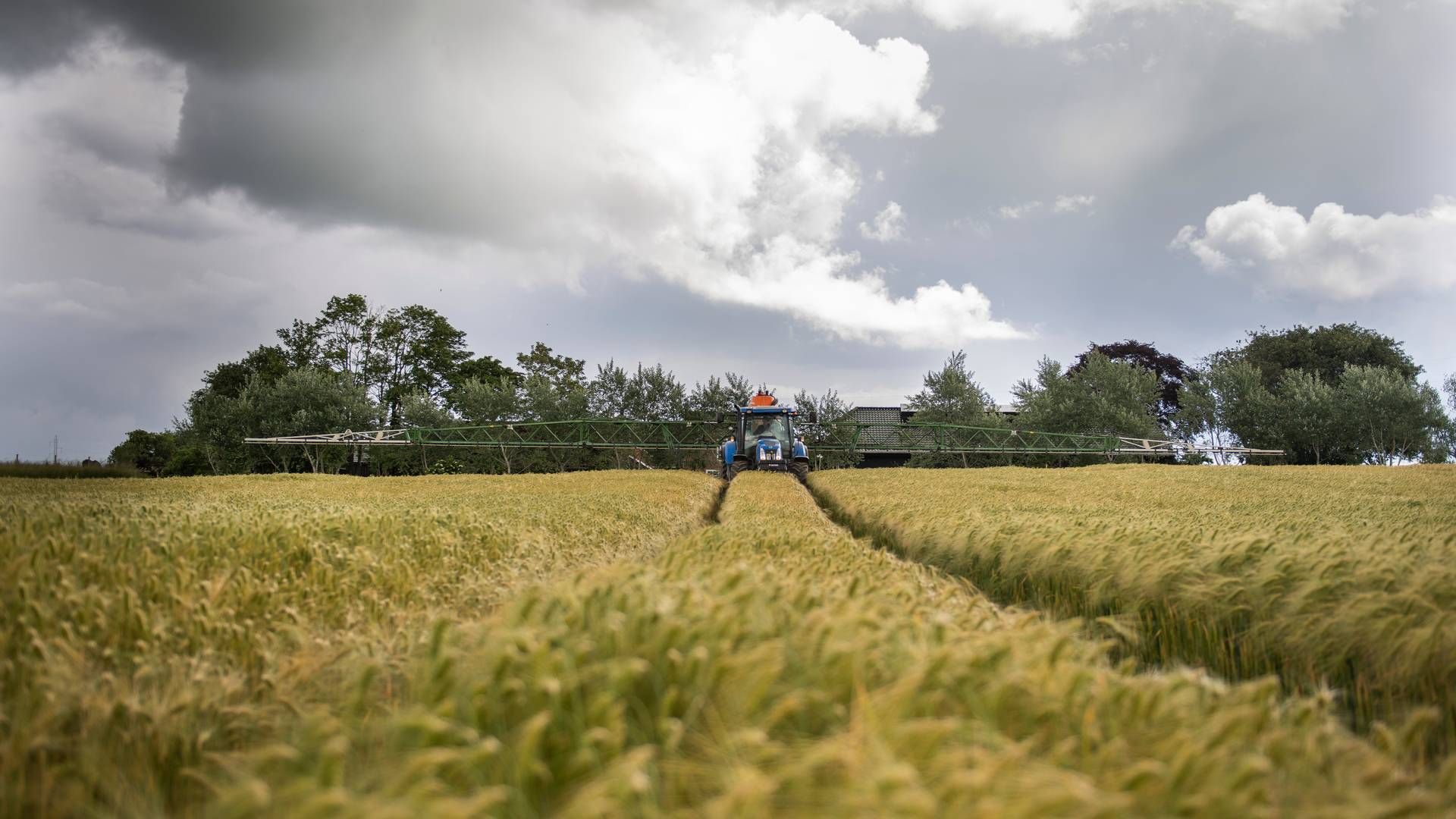 Rundt regnet er 60 pct. af det danske areal opdyrket. | Foto: Benny Kjølhede