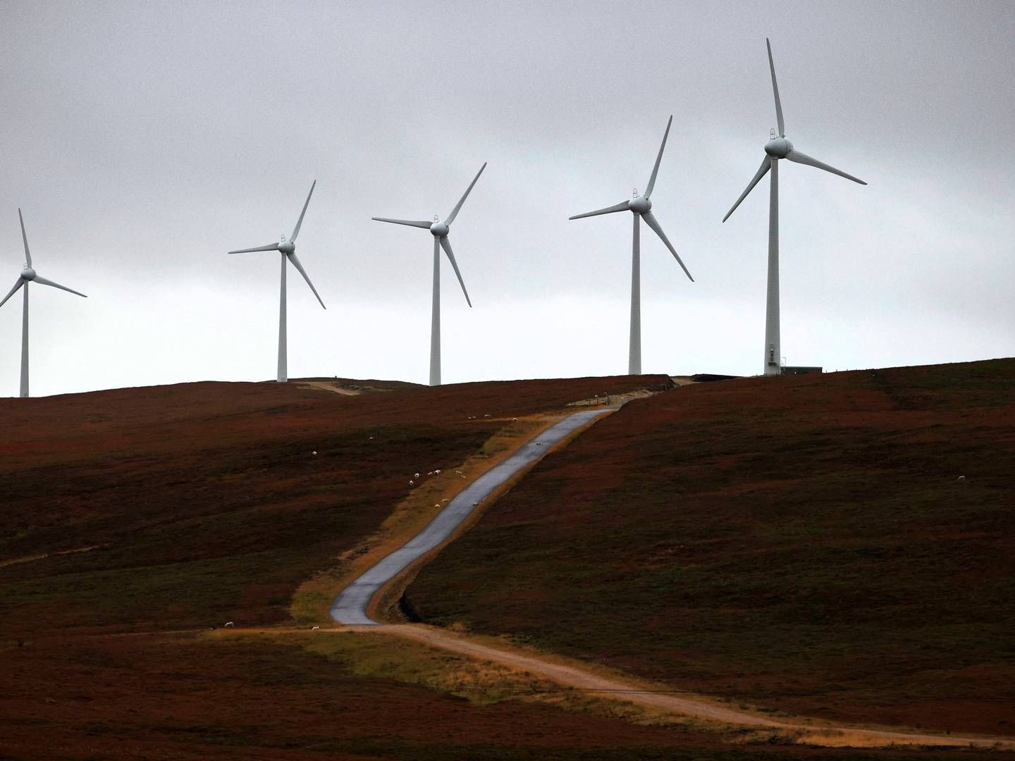 Brazil will lead the way over the next nine years with 23GW and 56% of all growth on the continent | Photo: Adrian Dennis