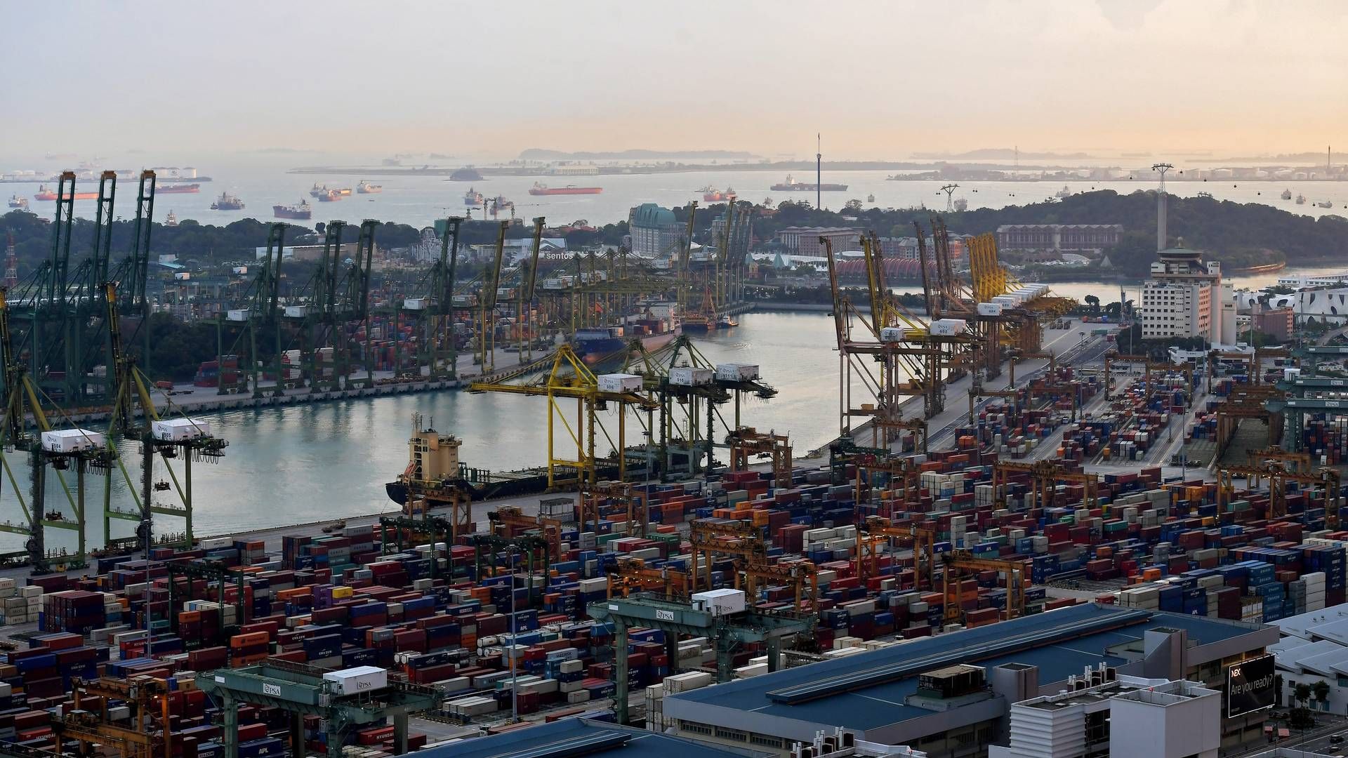 Havnen i Singapore har rundet 25 mio. ton solgt brændstof i første halvår. | Foto: Kua Chee Siong/AP/Ritzau Scanpix