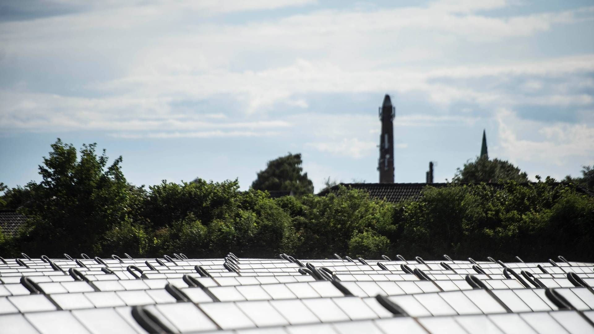 Solceller og grøn energi skal hjælpe Arla med at nå sine klima-mål. | Foto: Tim Kildeborg Jensen