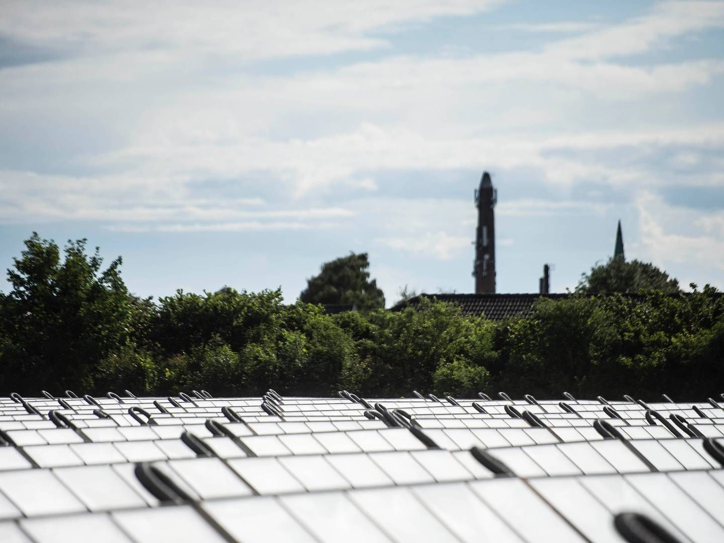 Solceller og grøn energi skal hjælpe Arla med at nå sine klima-mål. | Foto: Tim Kildeborg Jensen