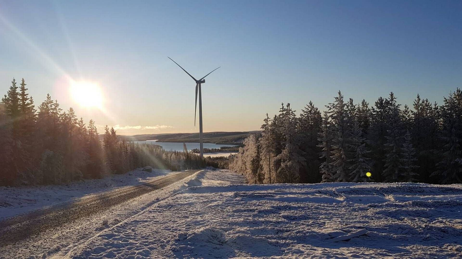 Når vindmøllerne er sat i drift, vil de kunne producere nok grøn strøm til at forsyne omkring 22.000 husstande i Hessen med grøn strøm hvert år. | Foto: Rwe