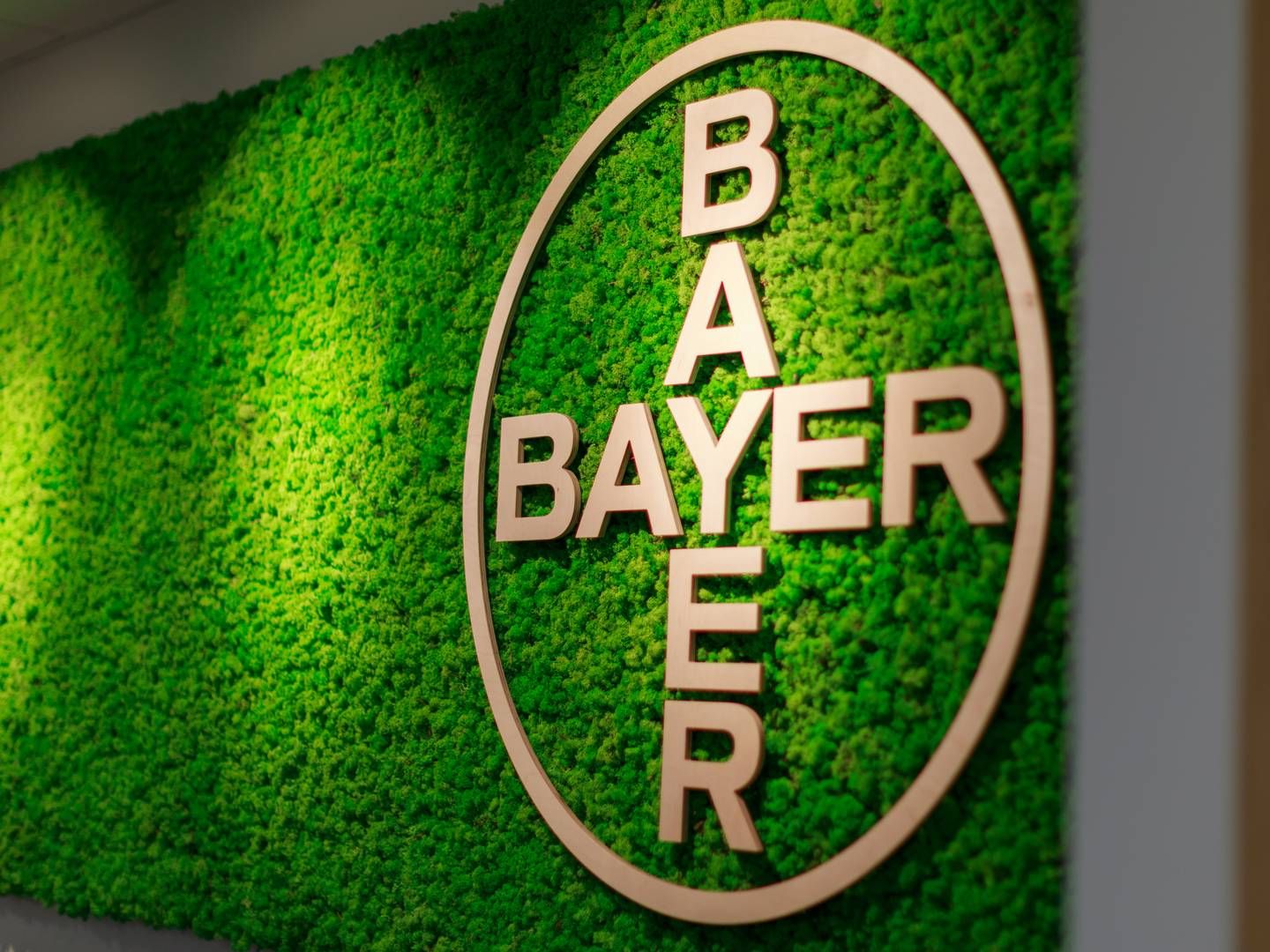 Photo: Bayer / Pr
