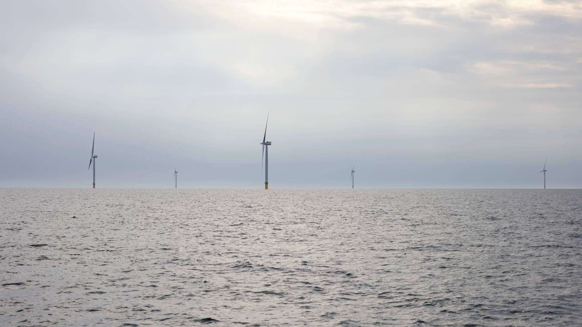 Regionen rummer potentiale for op til 500 GW havvind, men udviklingen er udfordret af lavere vindhastigheder på omkring 7,4 meter i sekundet og mindre stabile havbundforhold. | Foto: Marcus Emil Christensen