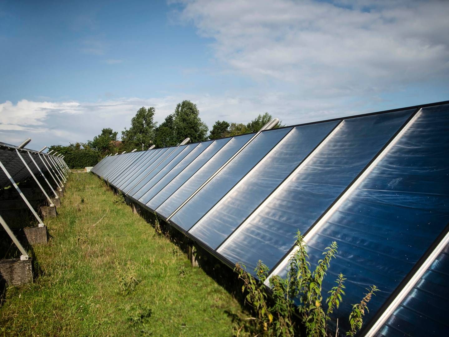 Nye sol- og vindmølleparker skal være med til at nå ambitionen om at firedoble produktionen fra vedvarende energi frem mod 2030. | Foto: Tim Kildeborg Jensen