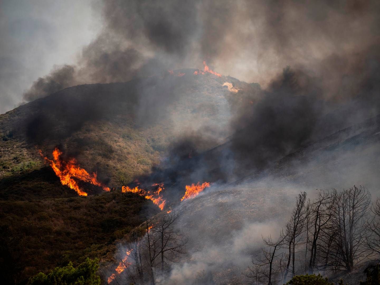 Grækenland er flere steder ramt af voldsomme naturbrande, der har resulteret i masseevakueringer. | Foto: Angelos Tzortzinis