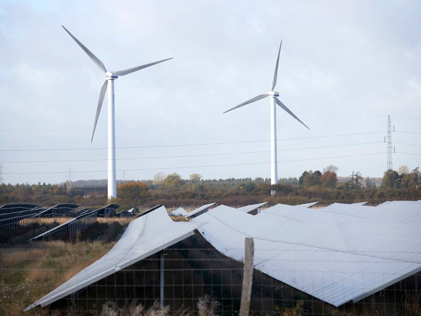 DANSK KØ: Det er ikke bare i Norge det er kø i saksbehandlingen. Danmark sliter også med at vindkraftprosjekter venter på saksbehandling, men der er det på kommunenivå. | Foto: Jens Dresling