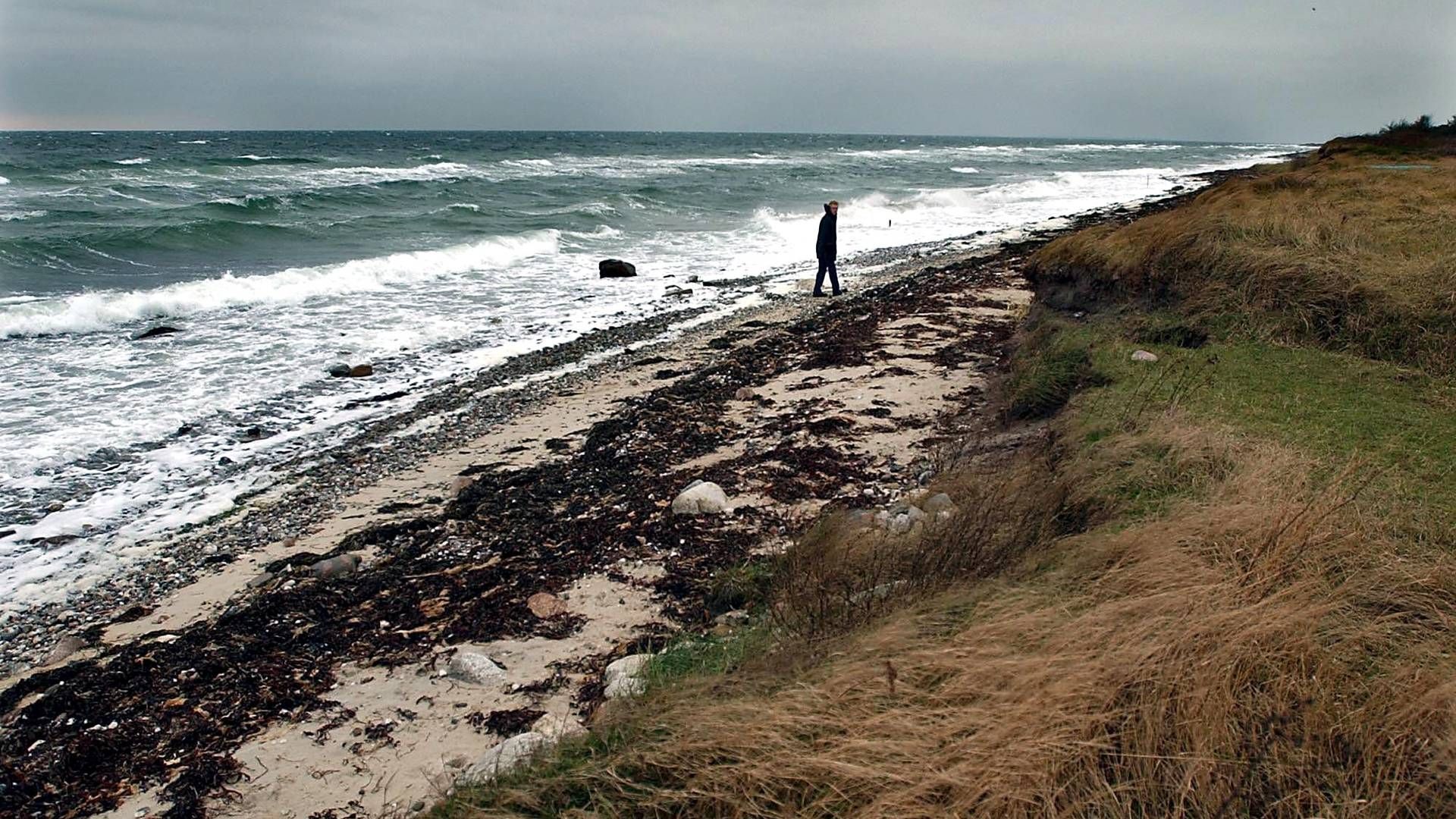 Øen Endelave i Kattegat huser flere EU-projekter med fokus på grundvandet. | Foto: Carsten Andreasen