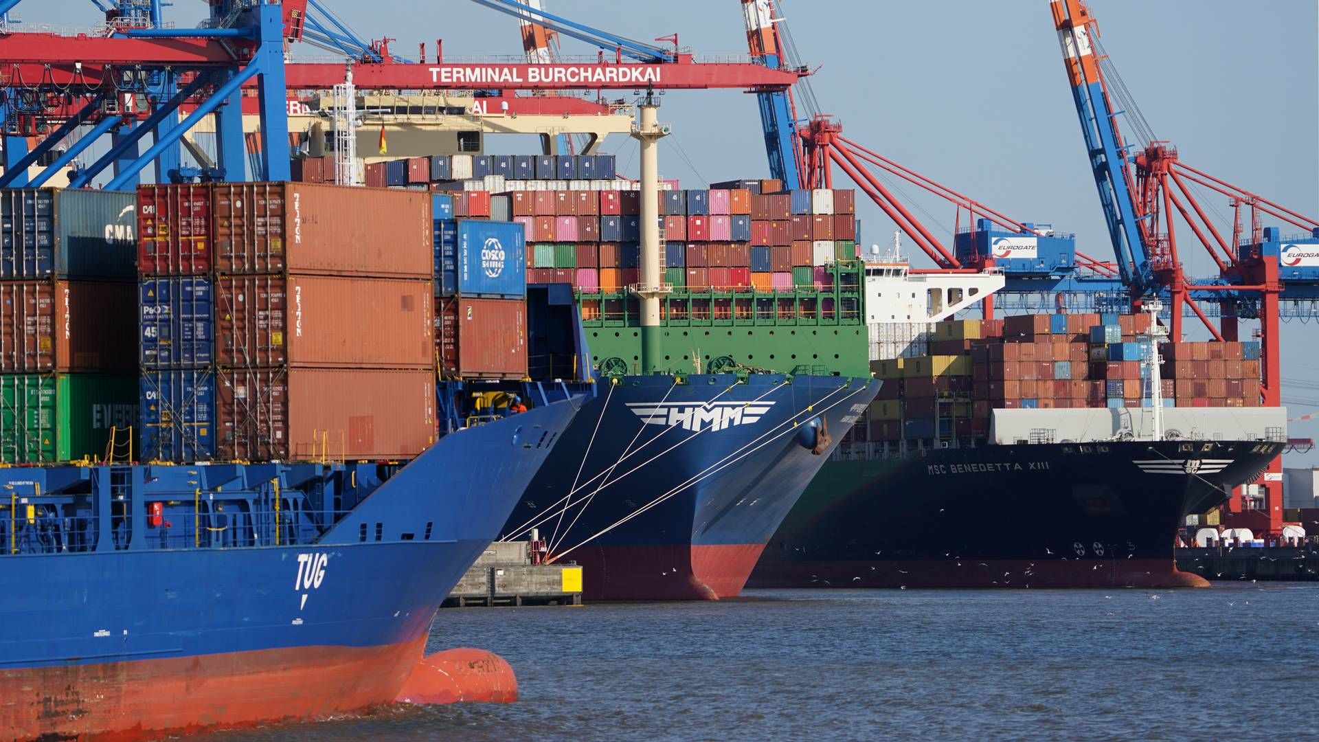 HHLA står bag den største containerterminal Hamborg Havn, som er knudepunkt for de store skibe, der sejler mellem Kina og Nordeuropa. | Foto: Marcus Brandt/AP/Ritzau Scanpix