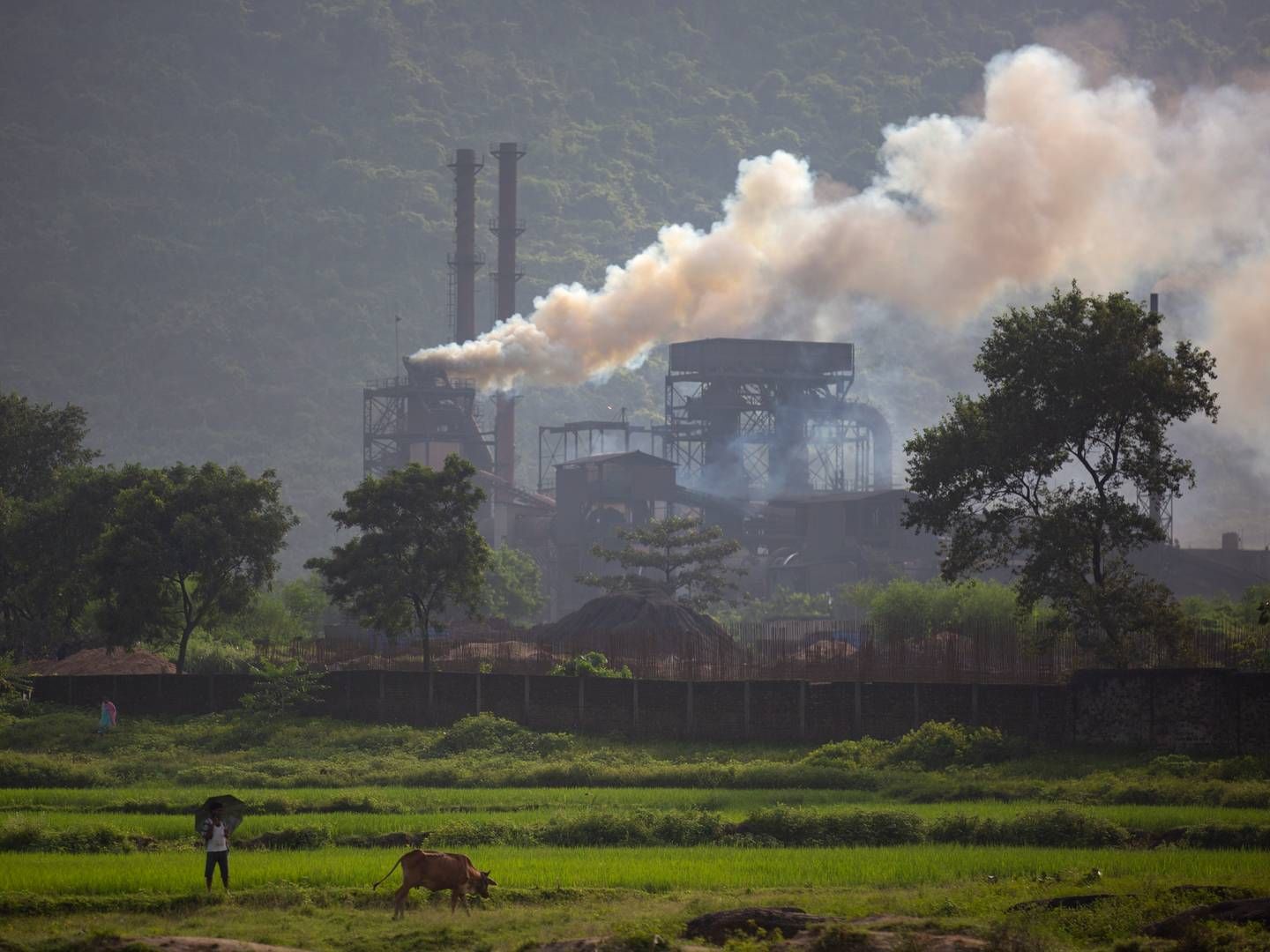 NYE HØYDER: Røyk stiger fra et kullfyrt stålverk i Hehai ved Ranchi i den indiske delstaten Jharkhand. Økt forbruk av kull i India og Kina mer enn oppveier betydelige kutt i USA og EU. Foto: Altaf Qadri / AP / NTB