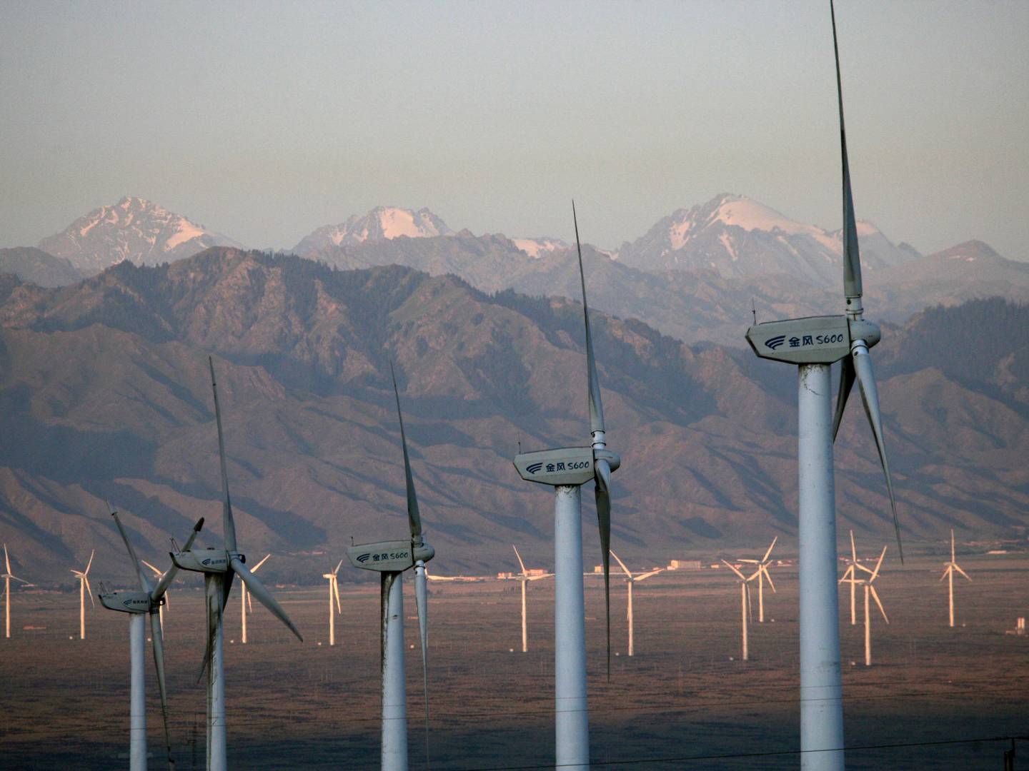 WINDEUROPE ADVARER: Den europeiske vindkraftorganisasjonen advarer om at auksjoner der utbyggerne må betale for havvindlisenser kan åpne døren for at kineserne tar over markedet. | Foto: AP Photo/Elizabeth Dalziel