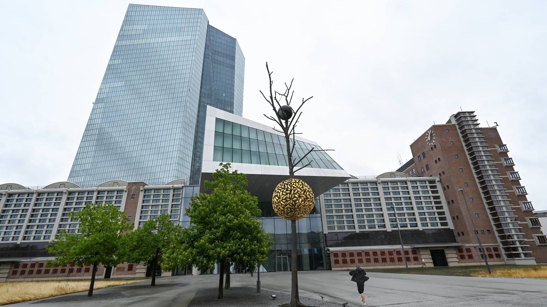 Der Sitz der Europäischen Zentralbank in Frankfurt | Foto: picture alliance/dpa | Arne Dedert