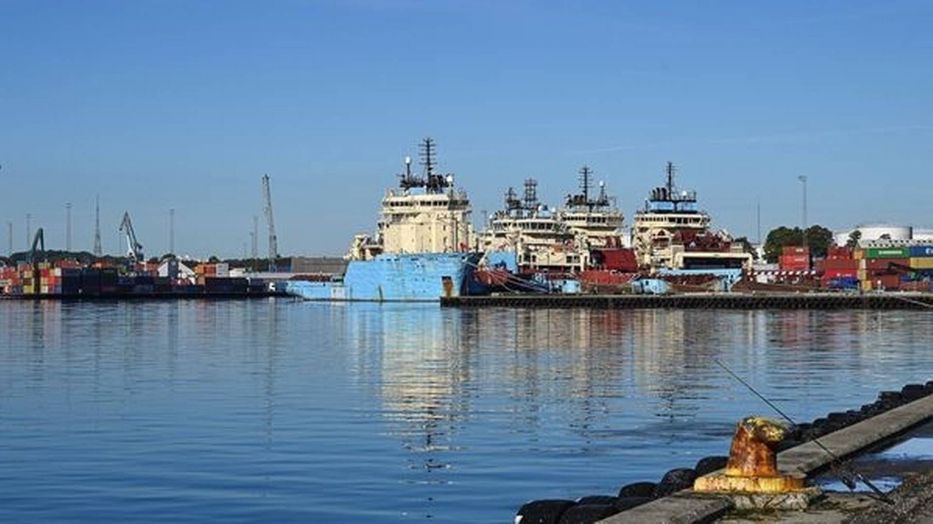 Fredericia Havn står til at huse demonstrationsanlæg til rensning af olieholdigt vand, såfremt den bliver godkendt af Miljøstyrelsen. | Foto: Pr / Trafikstyrelsen