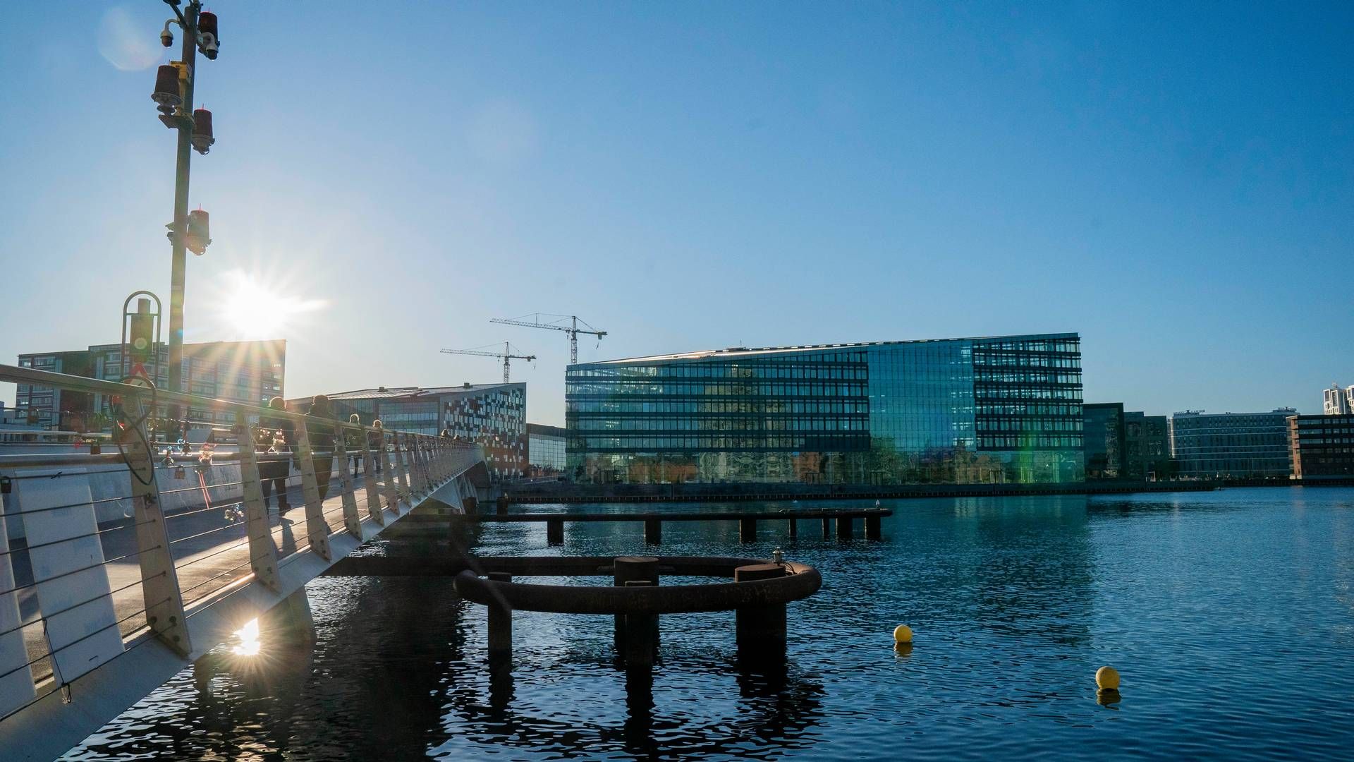 Siteimprove byttede i starten af 2023 sit hovedkontor på Sankt Annæ Plads i København ud med Havneholmen på Vesterbro. | Foto: Jesper Sunesen / Aller Foto & Video