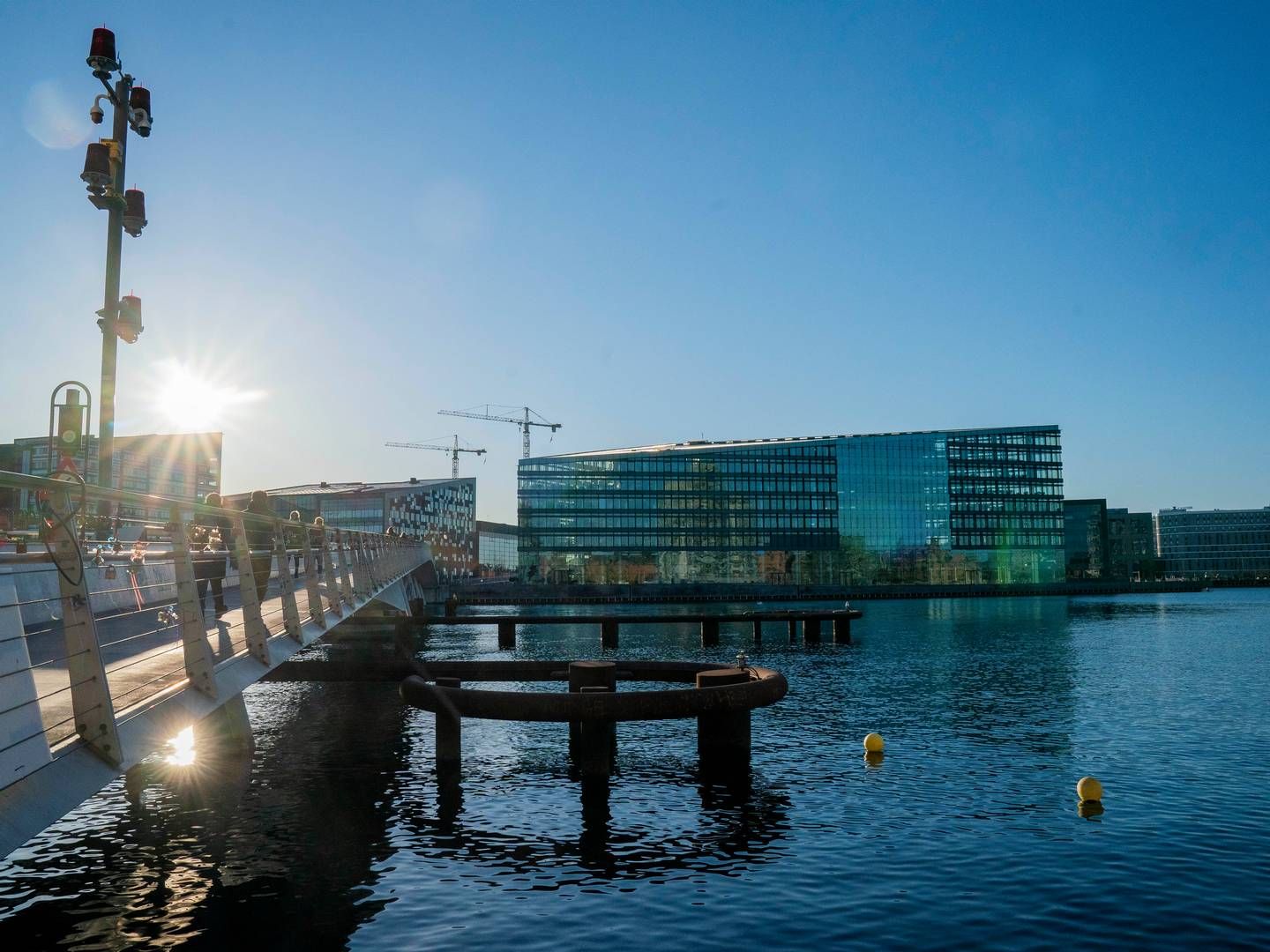 Siteimprove byttede i starten af 2023 sit hovedkontor på Sankt Annæ Plads i København ud med Havneholmen på Vesterbro. | Foto: Jesper Sunesen / Aller Foto & Video