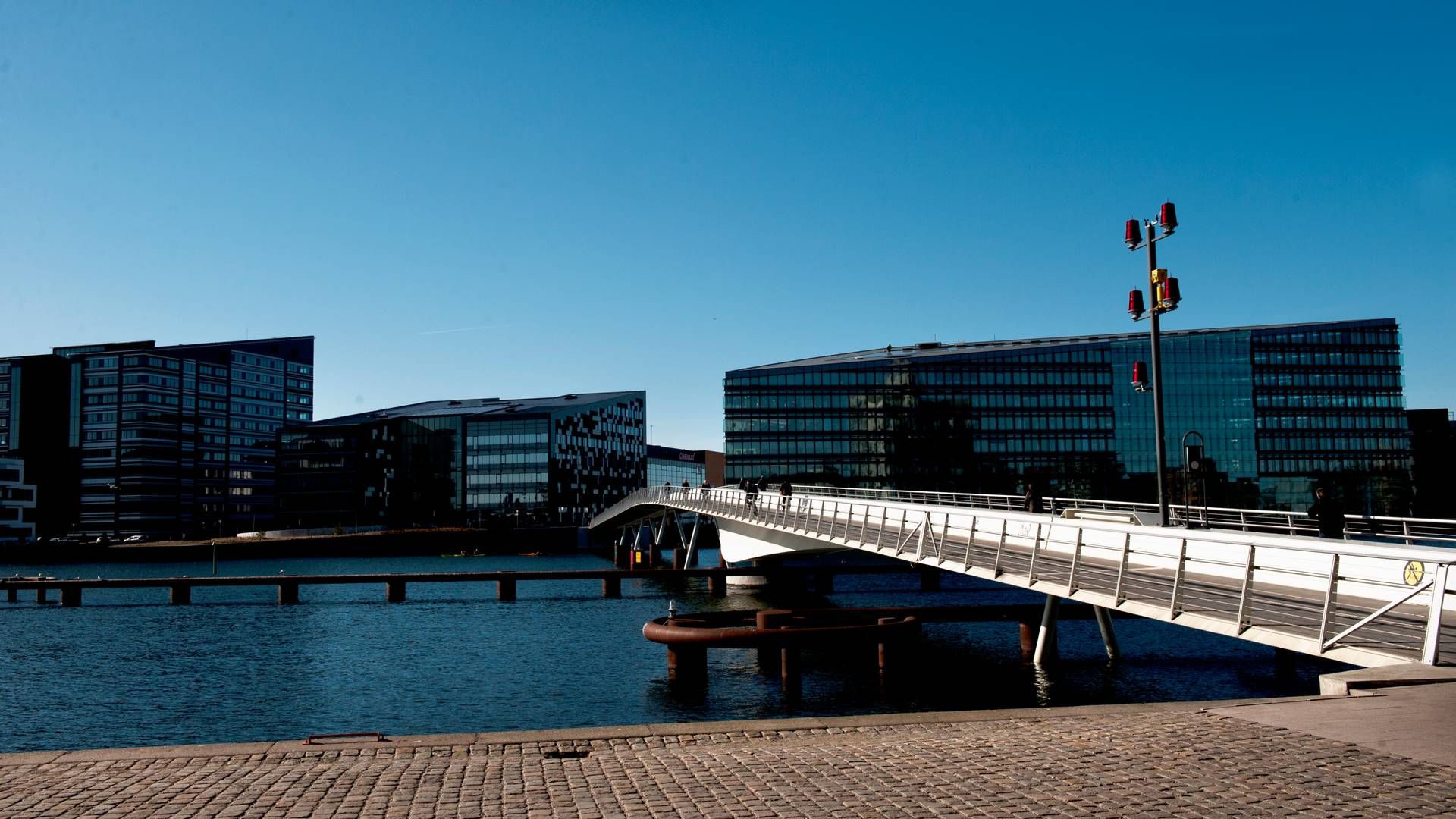 Siteimprove byttede i starten af 2023 sit hovedkontor på Sankt Annæ Plads i København ud med Aller Huset på Havneholmen | Foto: Helle Arensbak