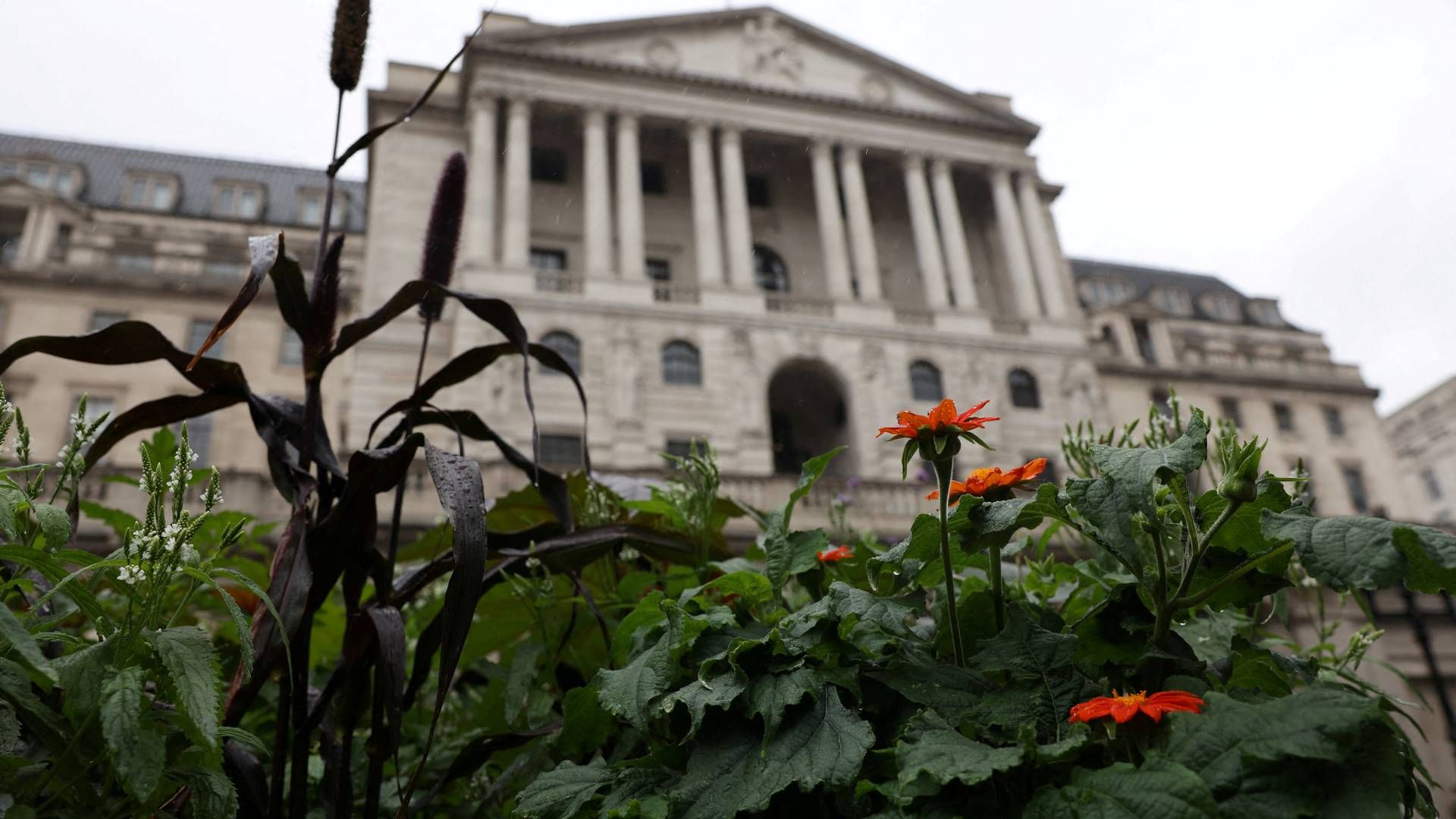Bank of England har hævet med 25 basispoint. | Foto: Hollie Adams
