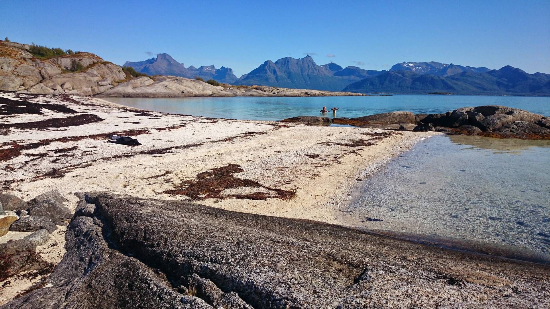 LEGGER NED: Folkeaksjonen Oljefritt Lofoten, Vesterålen og Senja (LoVeSe) legger ned virksomheten fordi de mener de har vunnet kampen. | Foto: Anders Lie Brenna