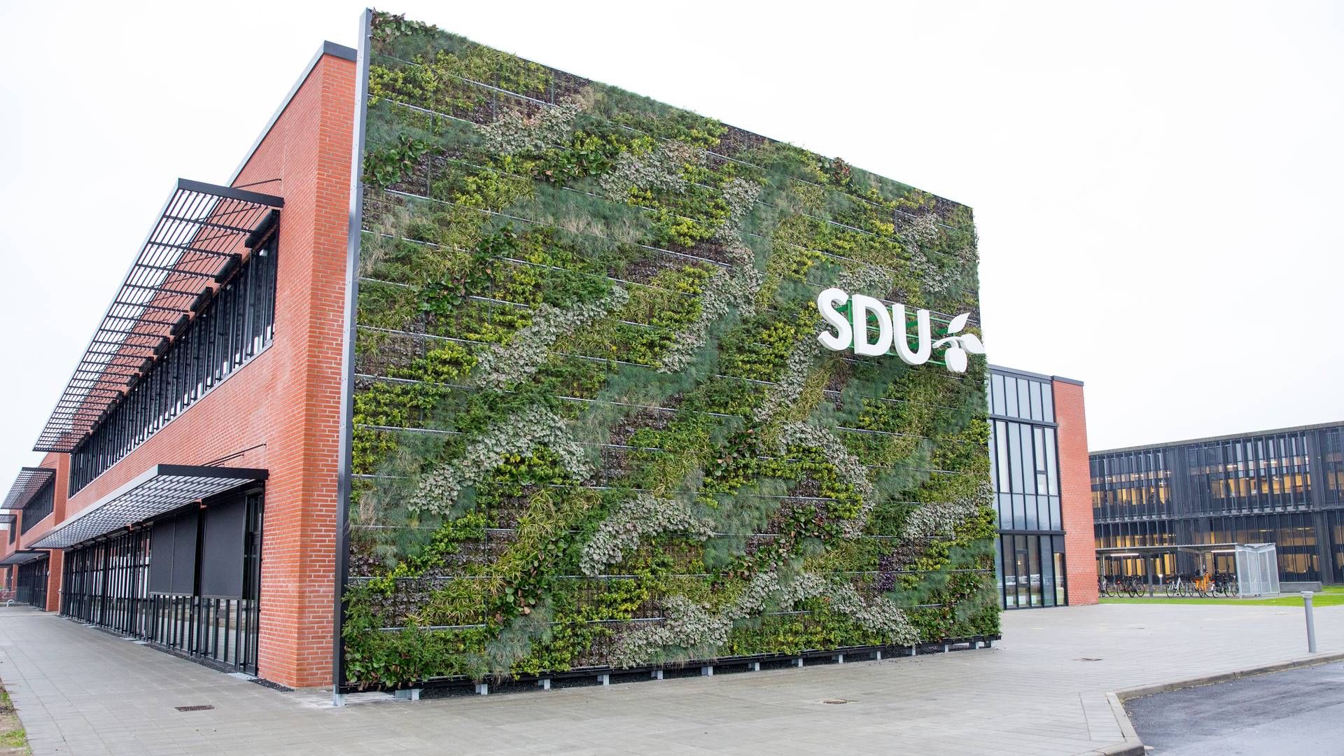 Syddansk Universitet (SDU) flyttede ind i nye lokaler i Esbjerg i 2021, mens jurauddannelsen flyttede ind i starten af sommeren 2023. | Foto: Syddansk Universitet / Pr