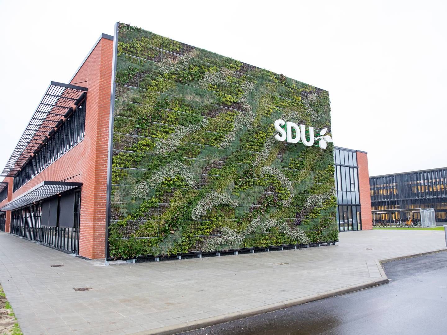 Syddansk Universitet (SDU) flyttede ind i nye lokaler i Esbjerg i 2021, mens jurauddannelsen flyttede ind i starten af sommeren 2023. | Foto: Syddansk Universitet / Pr