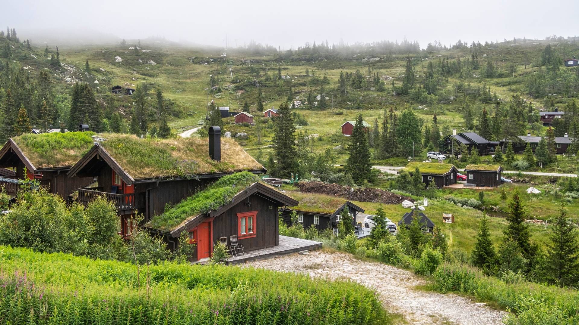 NEDGANG: Både salg og igangsettelser av nye hytter har falt betraktelig. | Foto: Halvard Alvik / NTB