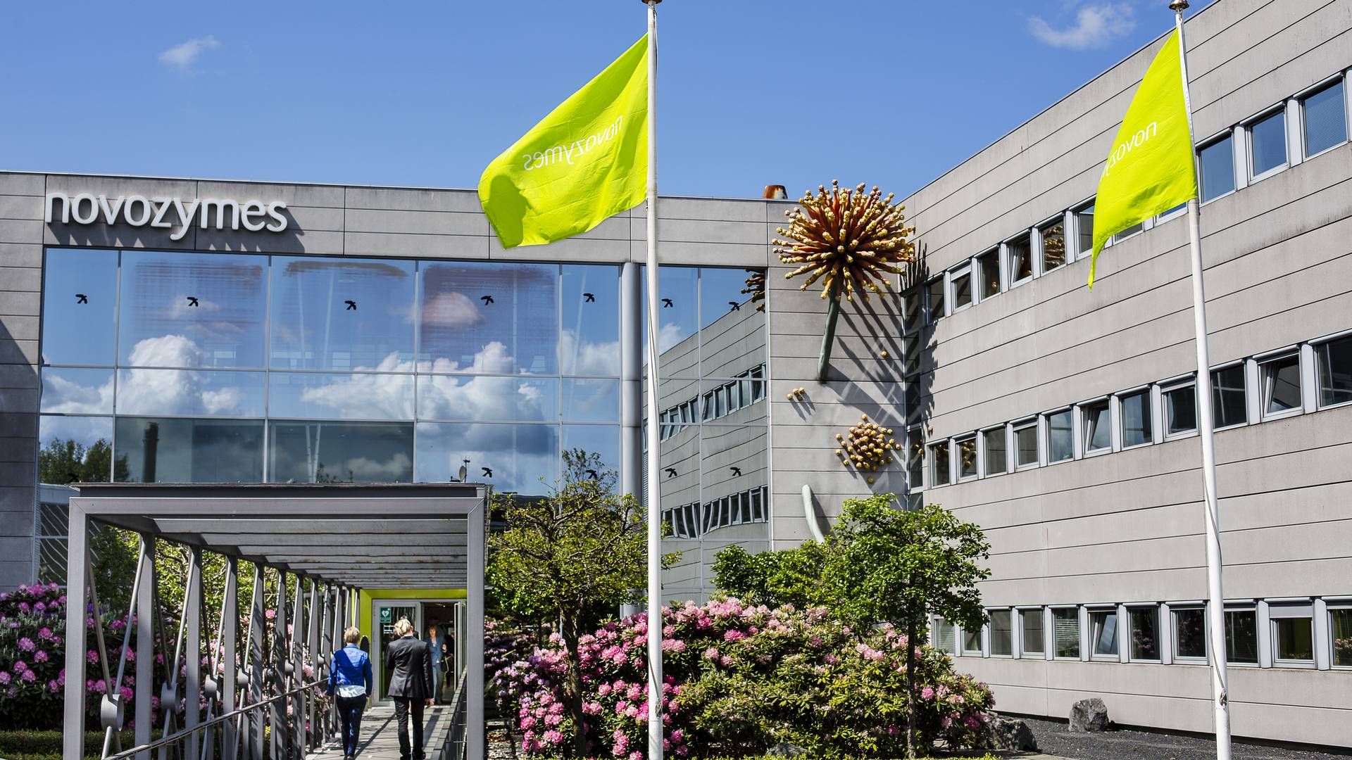 Novozymes er ramt af tilbagegang i fødevaredivisionen. | Foto: Novozymes/pr