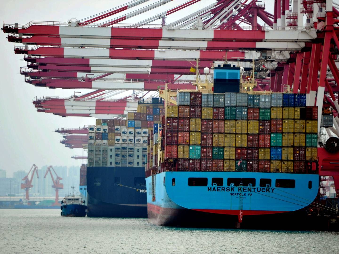 Faldet i eksporten skyldes et fald i fragtraterne, der har udhulet indtægterne fra søtransport. | Foto: Yu fangping