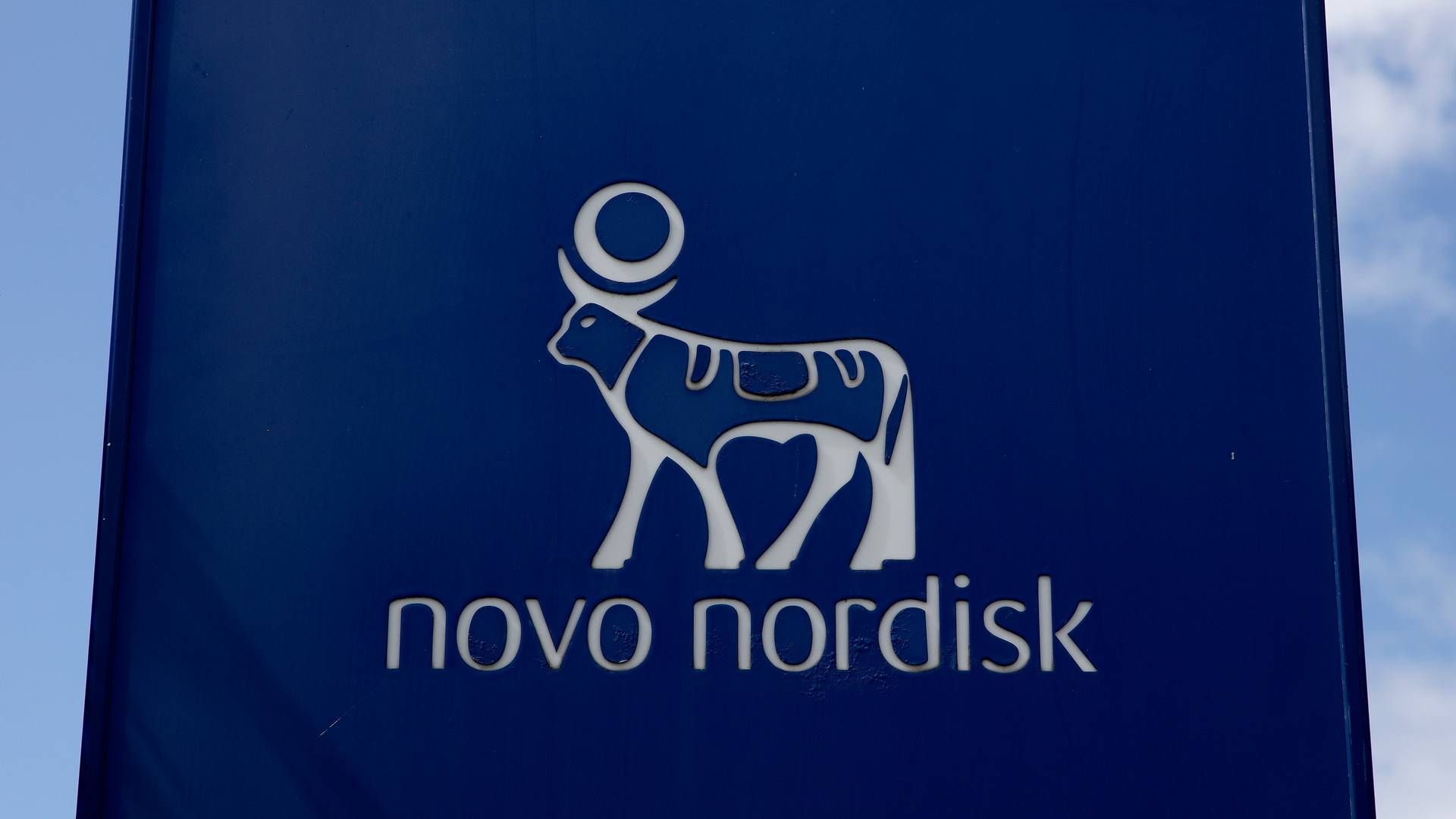 Novo Nordisk ønsker ikke at oplyse, om der bliver skævet til advokatbranchen, hvor Tomas Haagen kom fra i 2018, eller hvem der varetager hans arbejdsopgaver, mens kontorstolen står tom. | Foto: Finn Frandsen