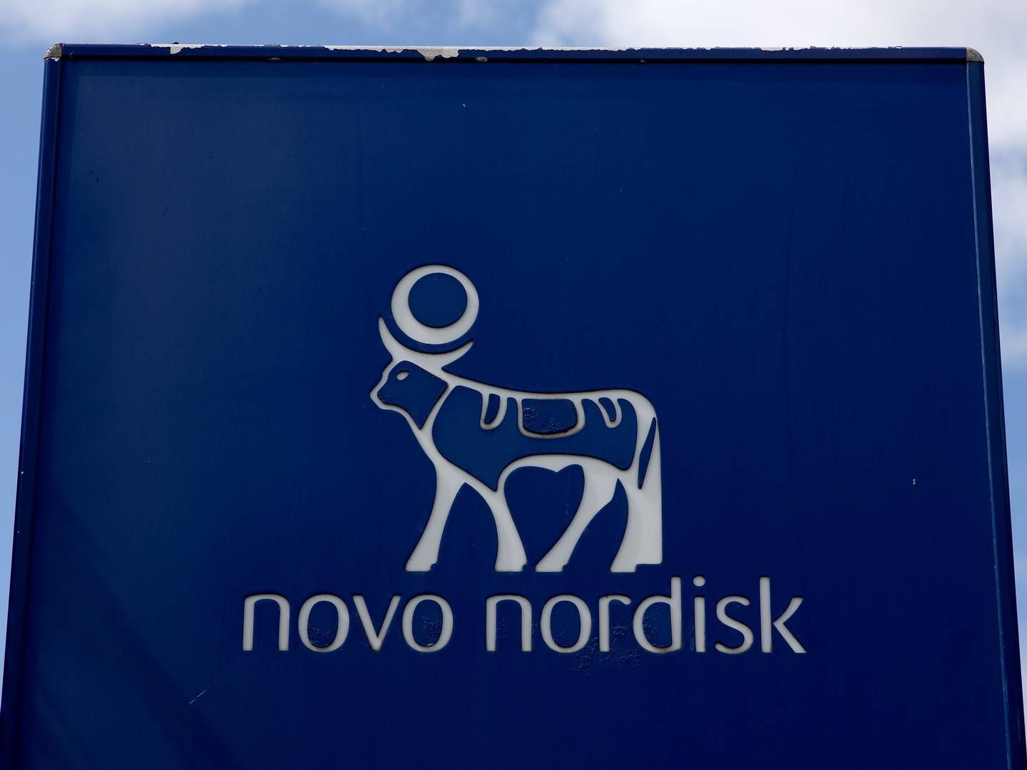 Novo Nordisk ønsker ikke at oplyse, om der bliver skævet til advokatbranchen, hvor Tomas Haagen kom fra i 2018, eller hvem der varetager hans arbejdsopgaver, mens kontorstolen står tom. | Foto: Finn Frandsen