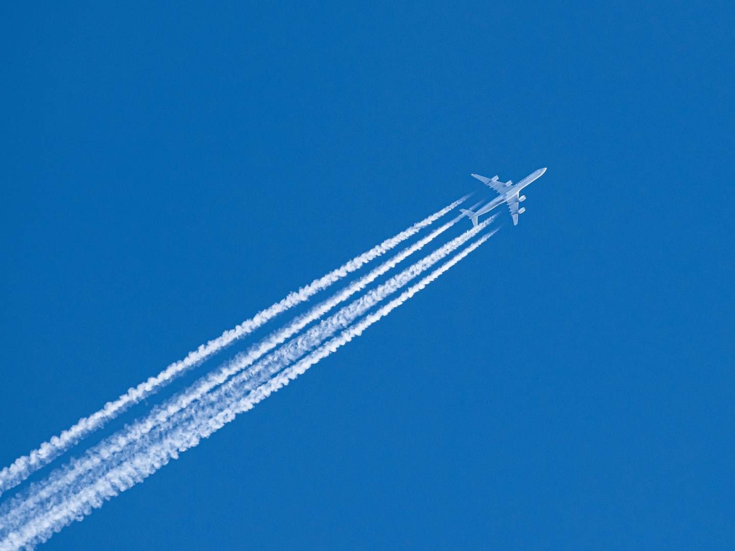Op til 54 pct. af kondensstriberne fra fly kan ifølge et forsøg reduceres ved at flyve lavere. | Foto: Silas Stein/AP/Ritzau Scanpix