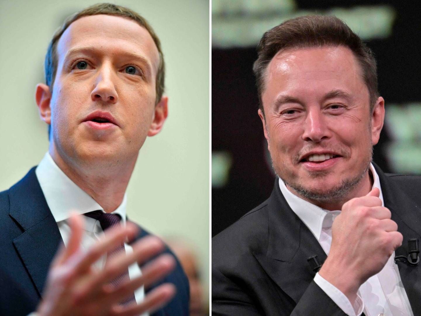 En særpræget kommunikation om at mødes i en slåskamp har længe stået på mellem de to milliardærer Mark Zuckerberg og Elon Musk. | Foto: Alain Jocard Mandel Ngan/AFP/Ritzau Scanpix
