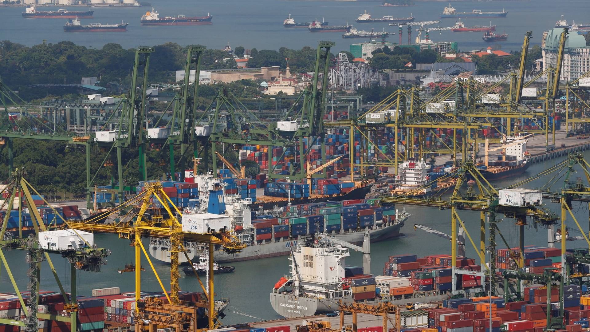 Cosco Shipping International er den kinesiske gruppes logistikselskab med base i Singapore, ikke at forveksle med det store containerrederi Cosco Shipping Holdings. | Foto: Darren Whiteside/Reuters/Ritzau Scanpix