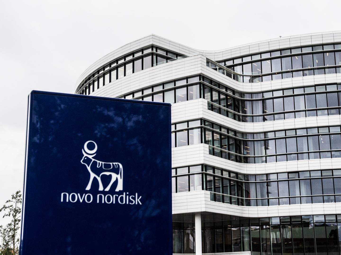 Novo Nordisk har skruet op for sin lobbyindsats i USA for at påvirke amerikanske lovgivere til at give tilskud til fedmemedicin. | Foto: Tidsvilde Stine/Ritzau Scanpix