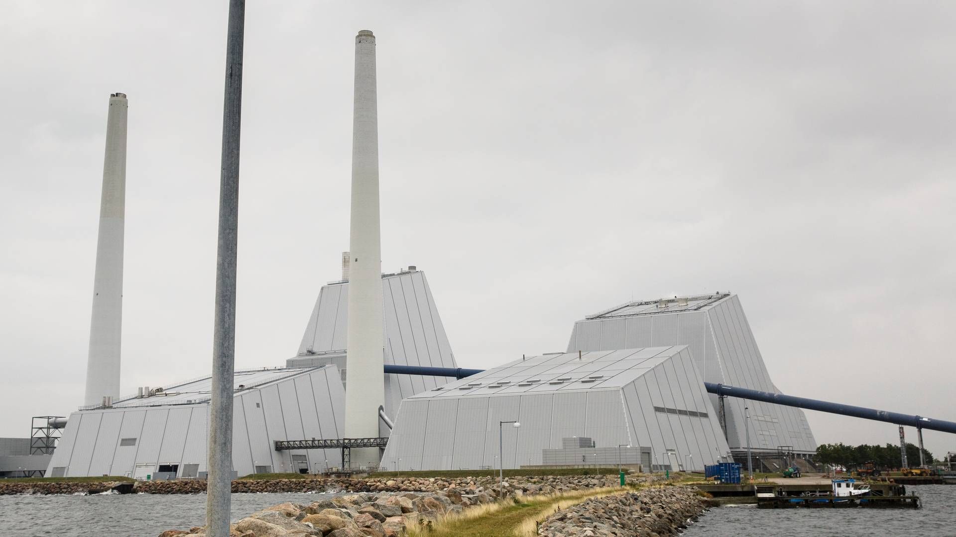 Ørsted vil indfange CO2 fra selskabets biomassefyrede kraftvarmeværker Avedøreværket ved København (billedet) og Asnæsværket ved Kalundborg | Foto: Lasse Kofod