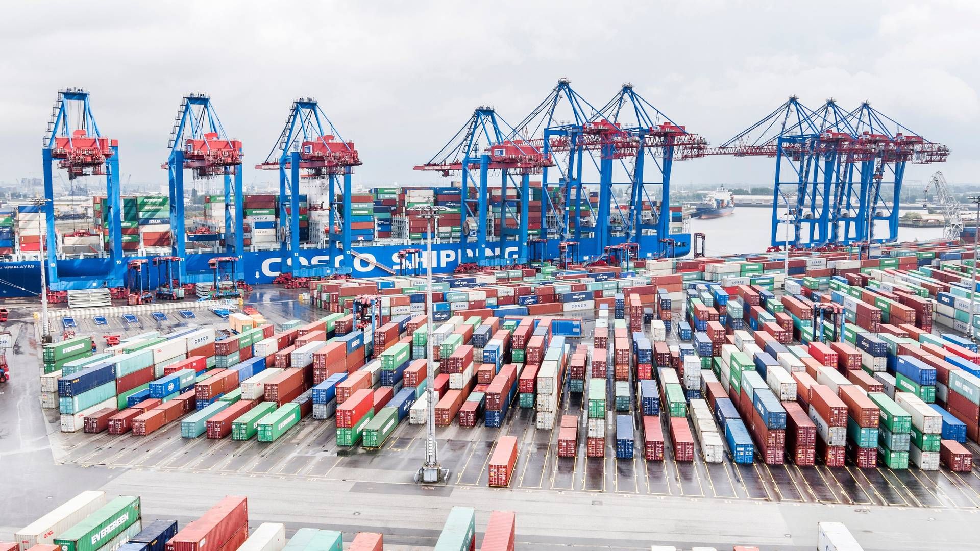 In the second quarter, 2.8 million containers passed through the company's ports, including Hamburg. This is a decrease of 14.6 percent from the second quarter of 2022. | Photo: Hhla