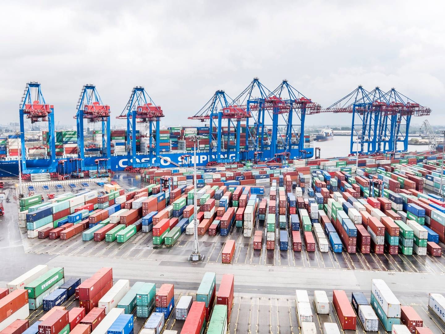 I andet kvartal var 2,8 mio. containere forbi selskabets havne - bl.a. Hamborg. Det er et fald på 14,6 pct. fra andet kvartal 2022. | Foto: Hhla