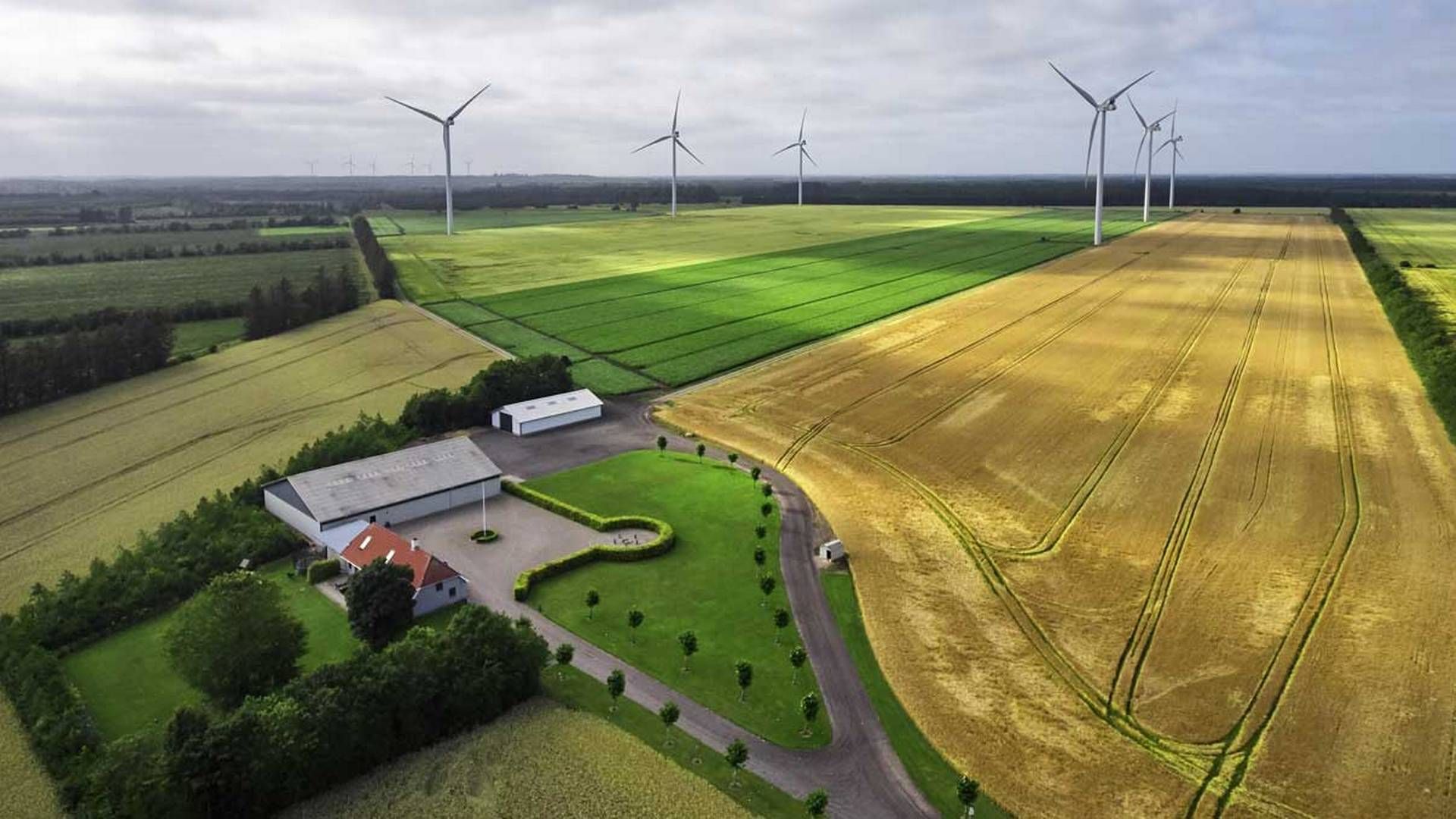 Flere realkreditselskaber har udsendt instrukser om fraråde belåning til ejendomme tæt på vindmøller. | Foto: Se Blue Renewables