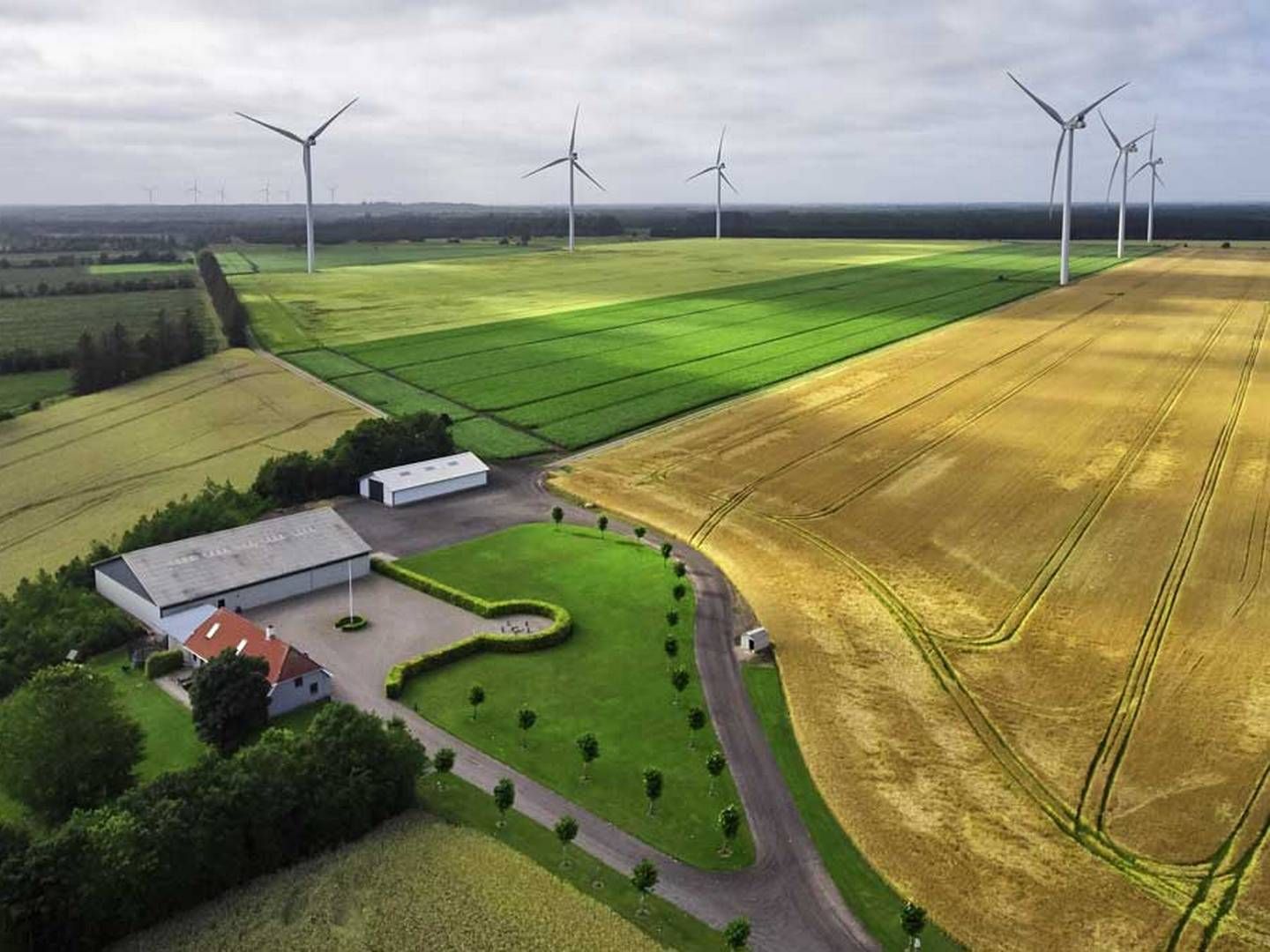 Flere realkreditselskaber har udsendt instrukser om fraråde belåning til ejendomme tæt på vindmøller. | Foto: Se Blue Renewables
