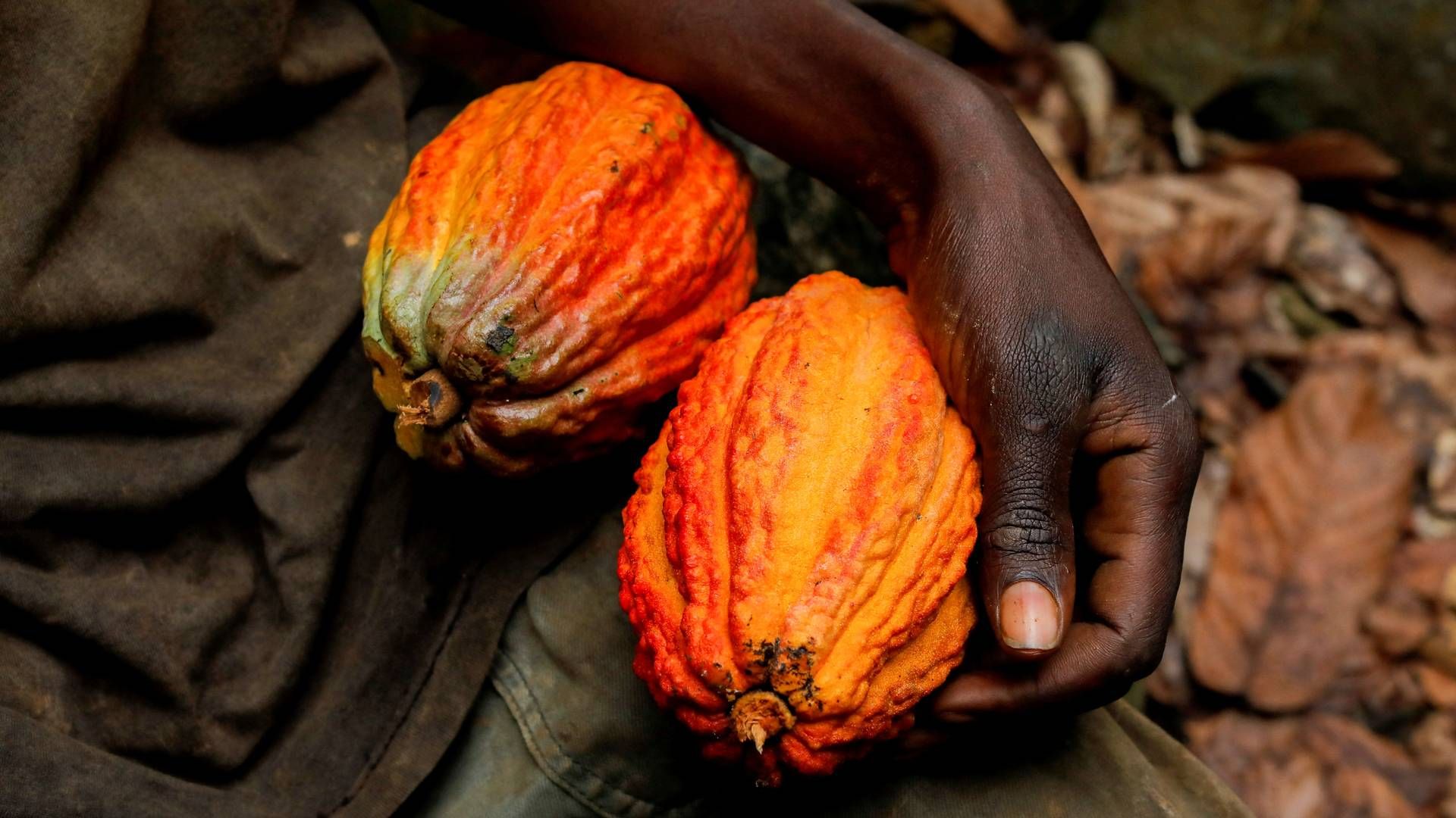 Foto: Francis Kokoroko/Reuters/Ritzau Scanpix