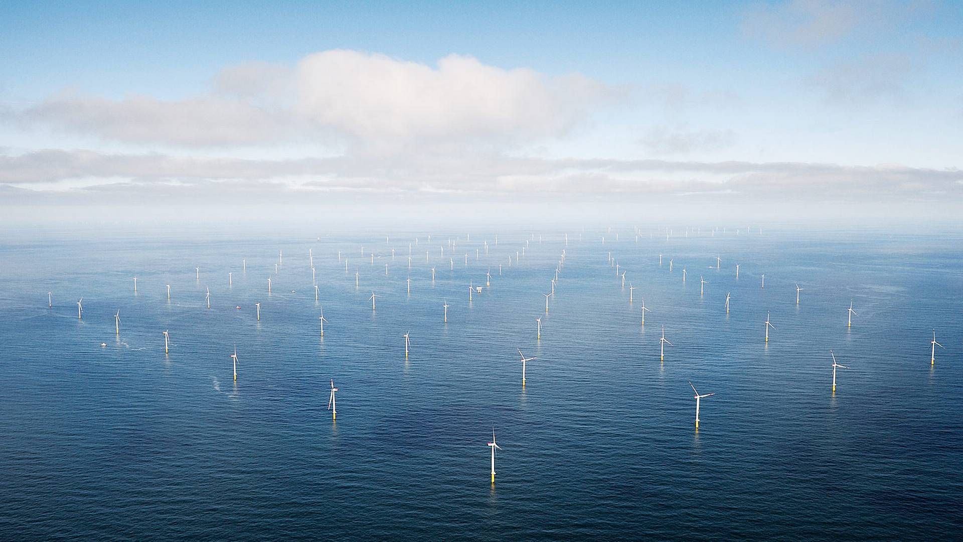 Verdens aktuelt største havmøllepark, Hornsea 2, skulle efter planen have forsynet Gigastack med strøm til elektrolysekapaciteten på 100 MW. | Foto: Pr / Abb