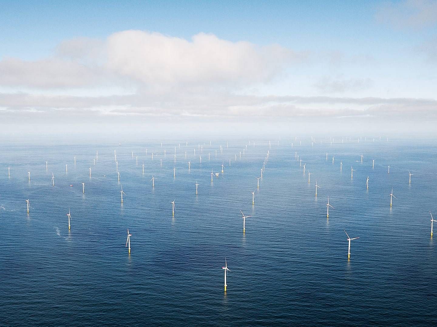 Verdens aktuelt største havmøllepark, Hornsea 2, skulle efter planen have forsynet Gigastack med strøm til elektrolysekapaciteten på 100 MW. | Foto: Pr / Abb