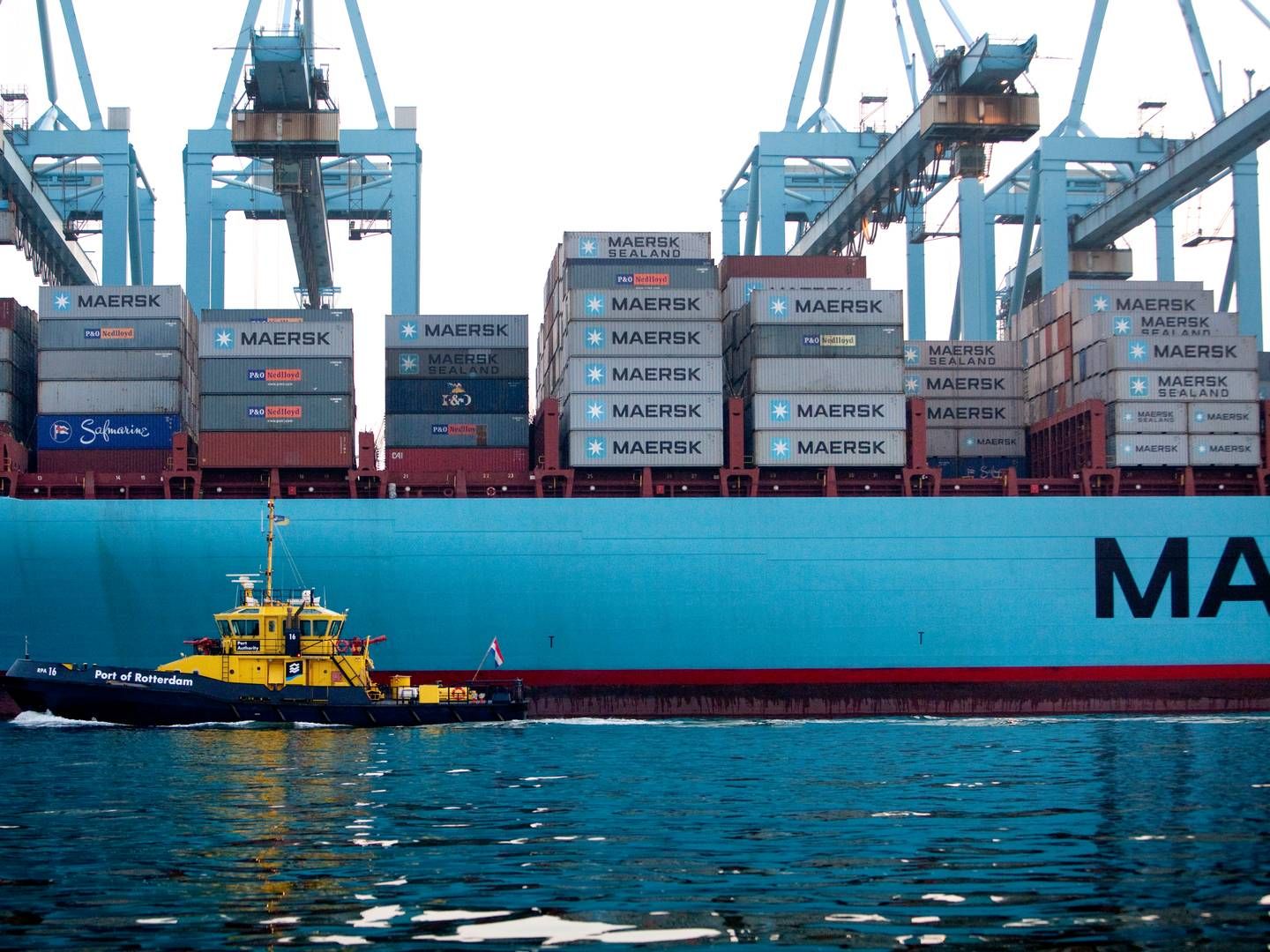 On July 13, customs authorities in the port of Rotterdam seized a record-breaking eight tonnes of cocaine in a Maersk container. File photo. | Photo: Mie Brinkmann