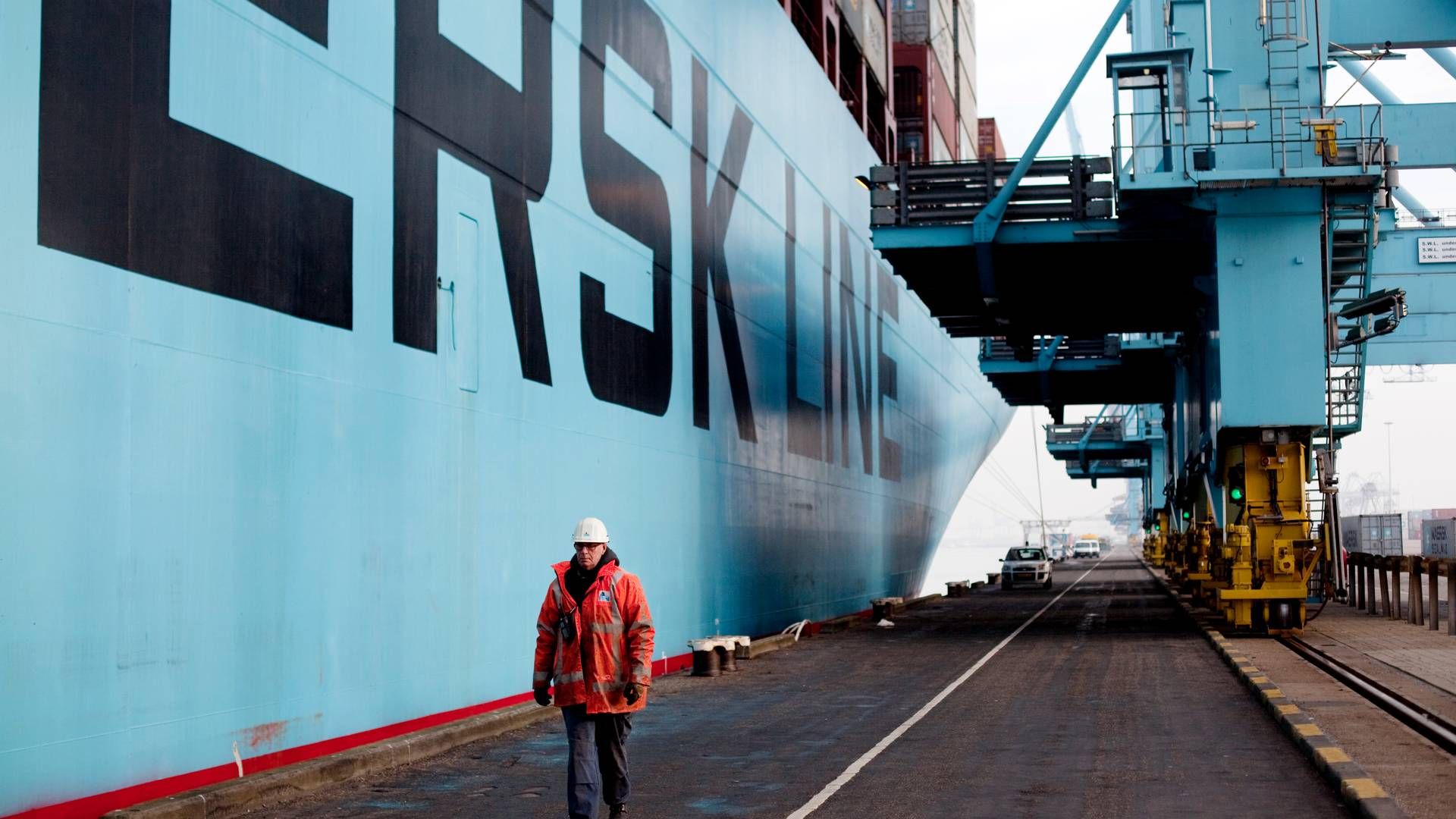 Mærsk har på tre måneder indflaget 16 containerskibe i Danmark. | Foto: Mie Brinkmann