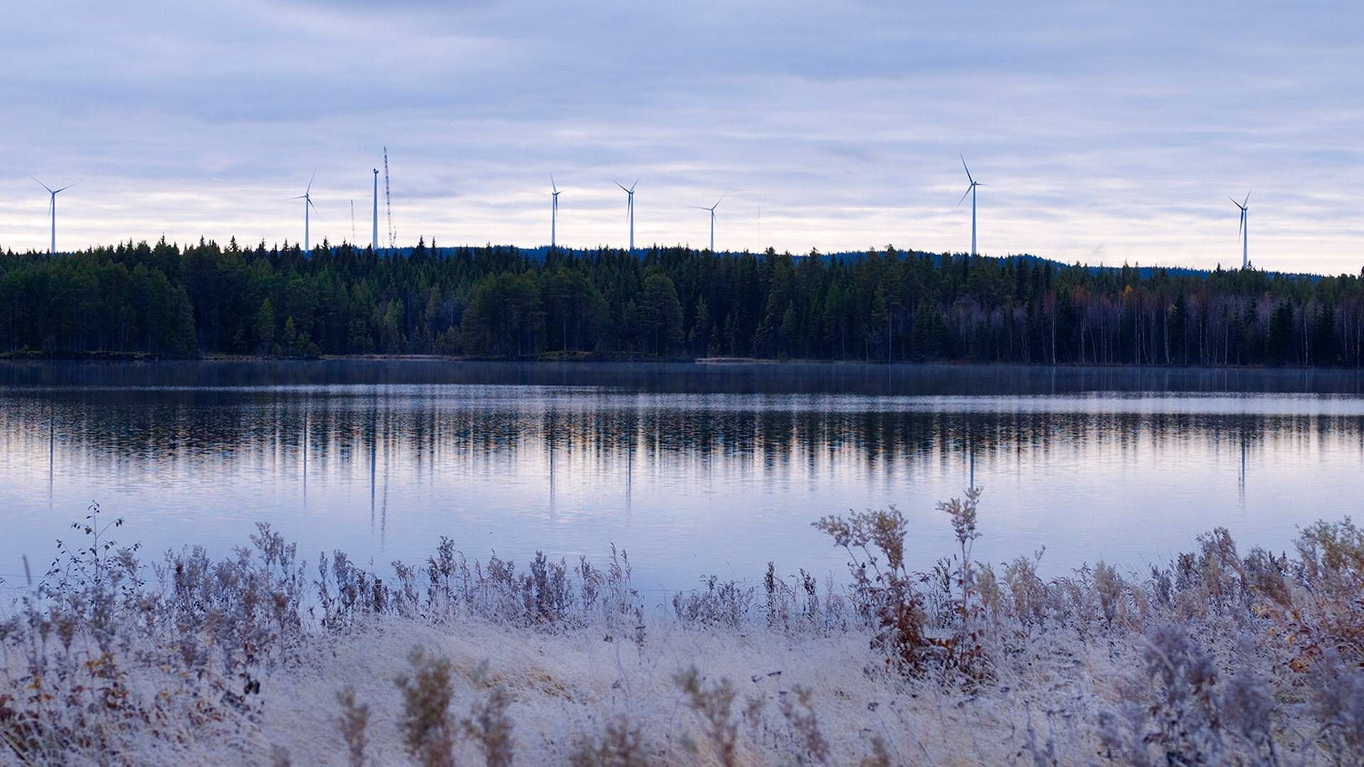 Since there naturally are no pictures of the turbines at Tribbhult, we've included a calmer one from Stamåsen Wind Farm instead. | Photo: Torbjörn Bergkvist / Statkraft
