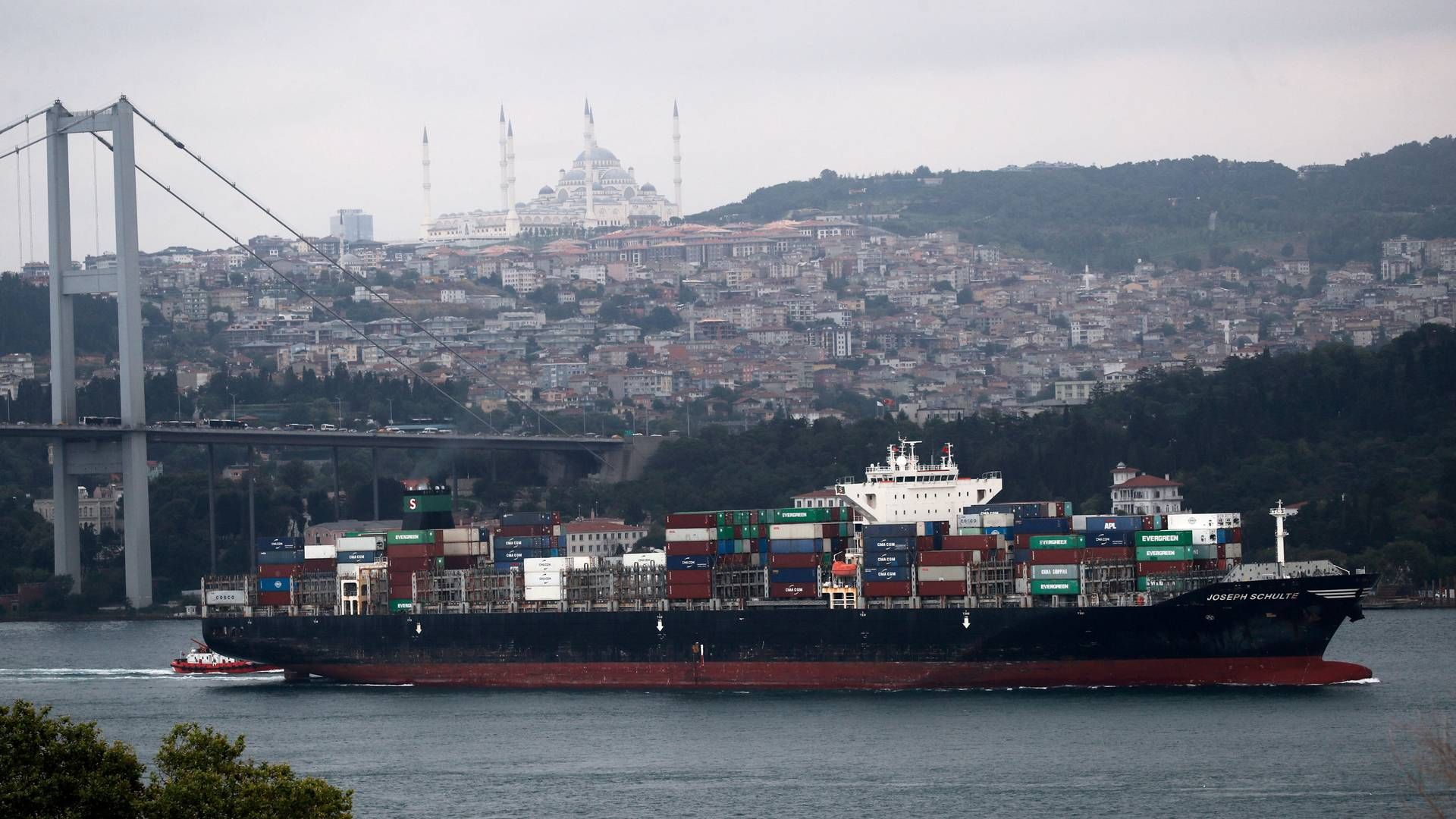 Det første containerskib, som har forladt en ukrainsk havn under en ny humanitær korridor, er ankommet sikkert til Istanbul efter halvandet år i Odessa. | Foto: Murad Sezer/Reuters/Ritzau Scanpix