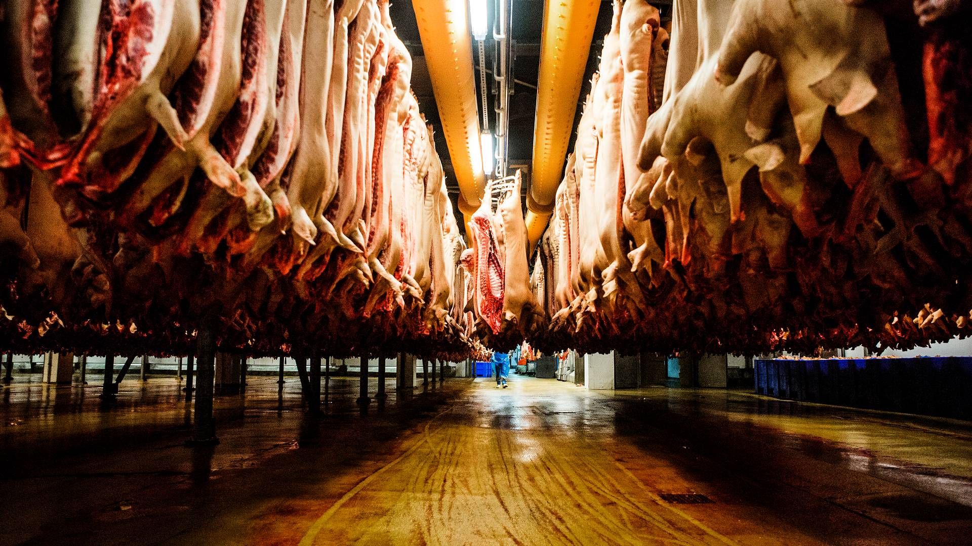 WH Group ejer en række slagterier verden over. | Foto: Janus Engel